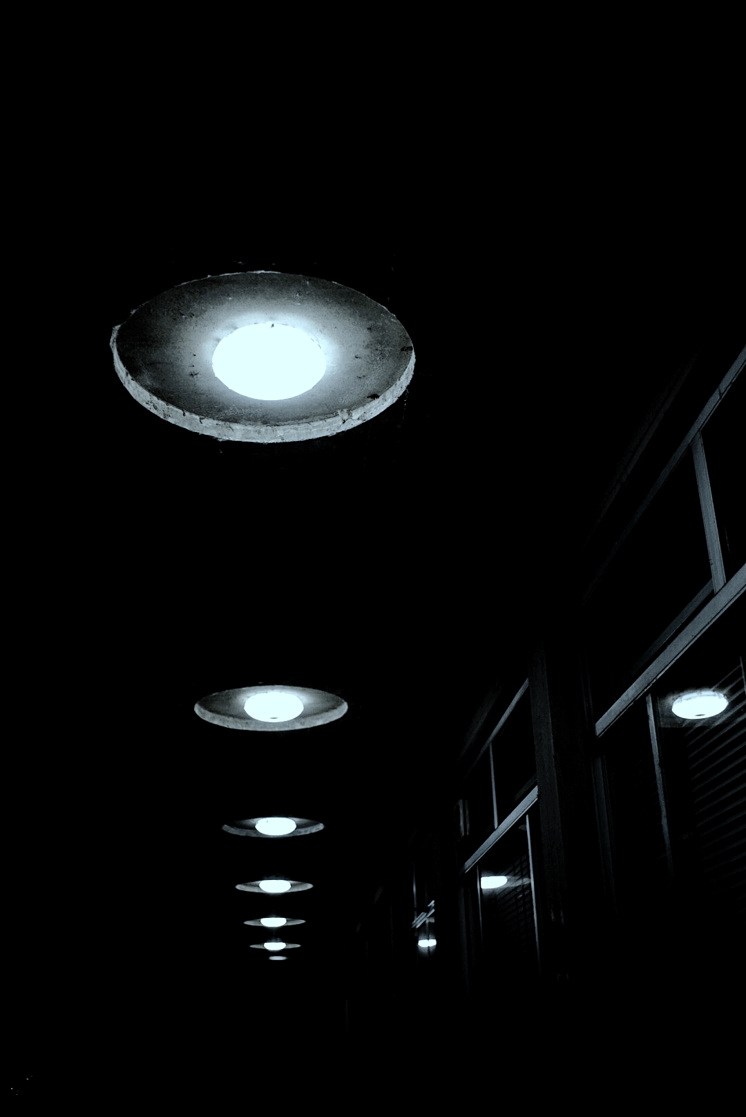 Untitled Photo
