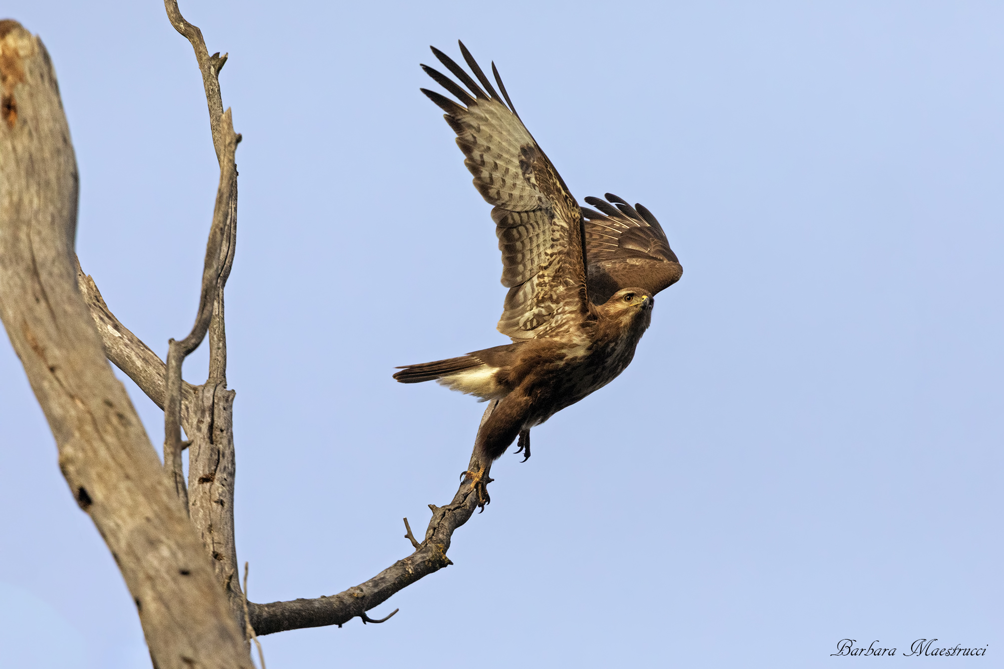 And then she comes...