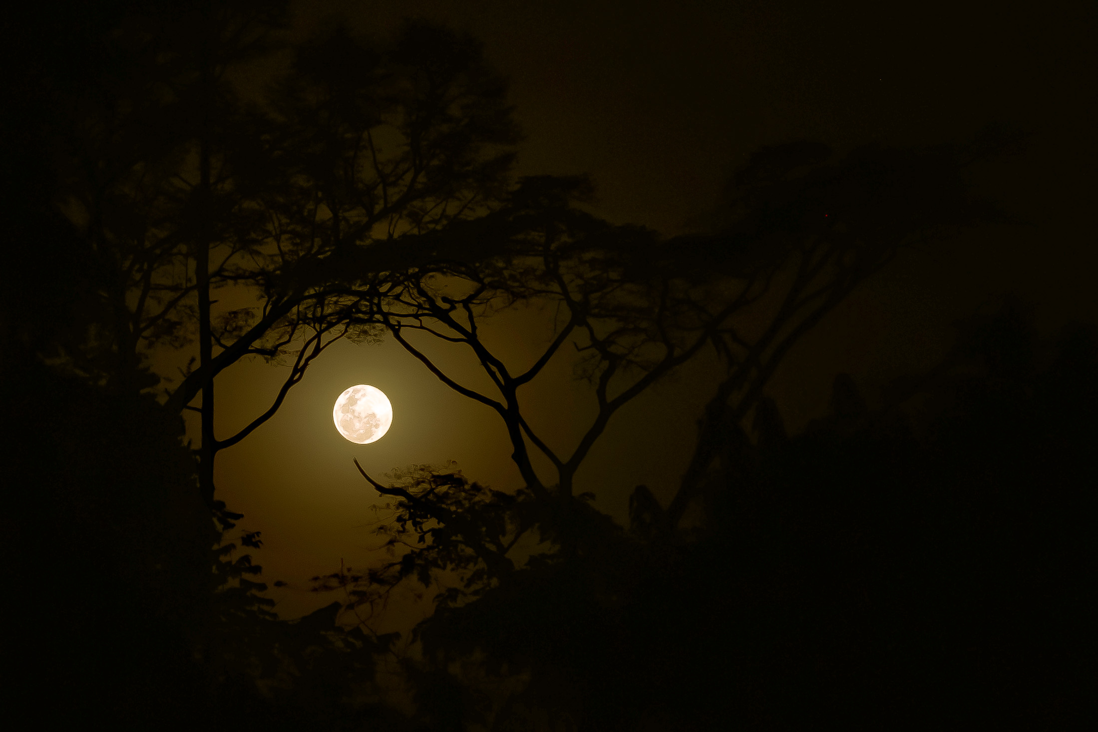 Full moon