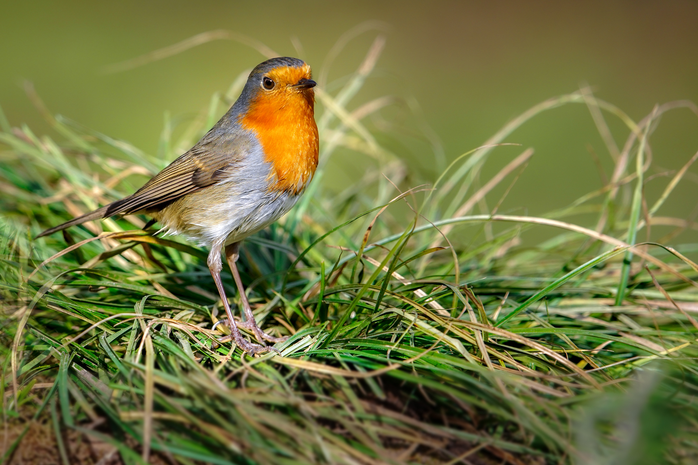Untitled Photo