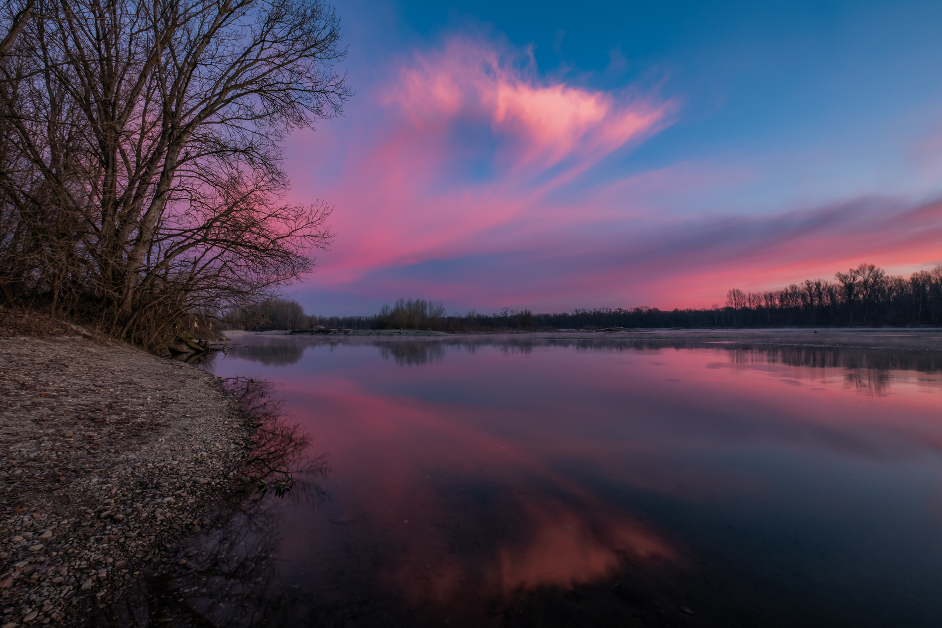 Untitled Photo
