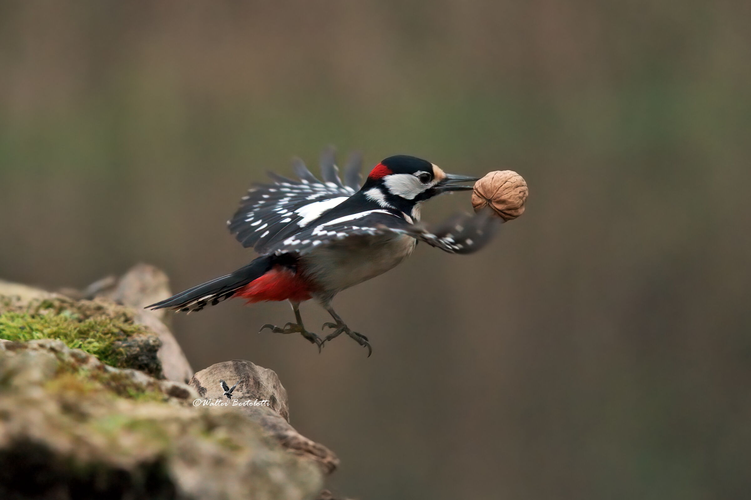 trasporti eccezionali