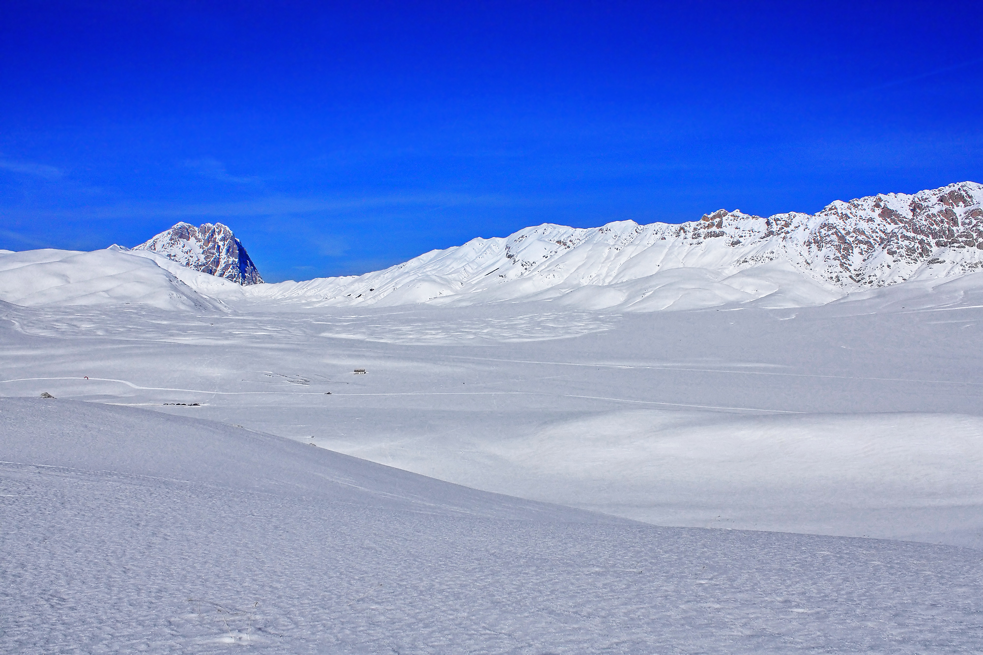 Il bianco e l'azzurro