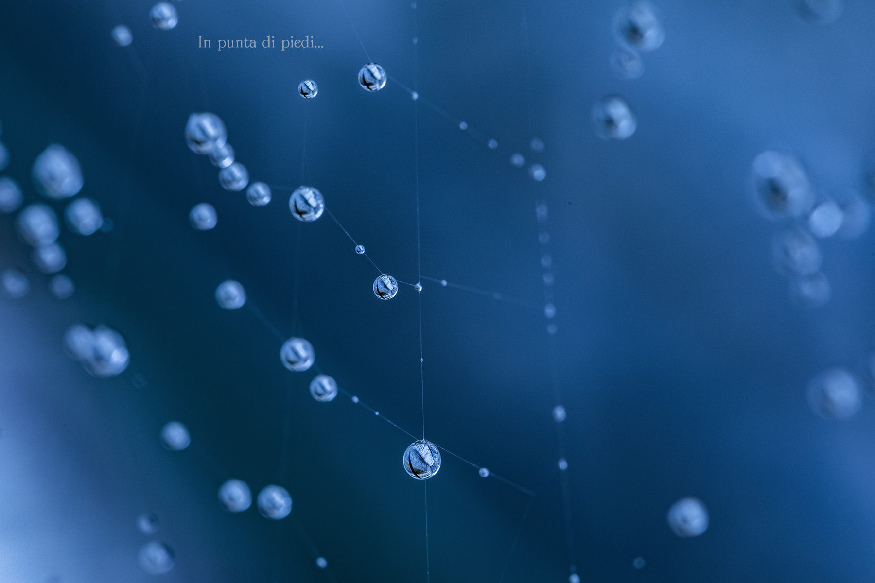 Tic-Tac-Toe and Noughts and crosses (Tris) Nature game