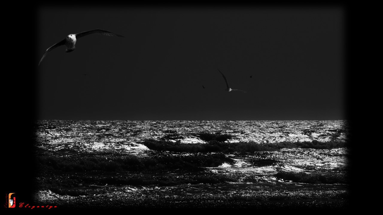 (3)The immense between sea and sky...