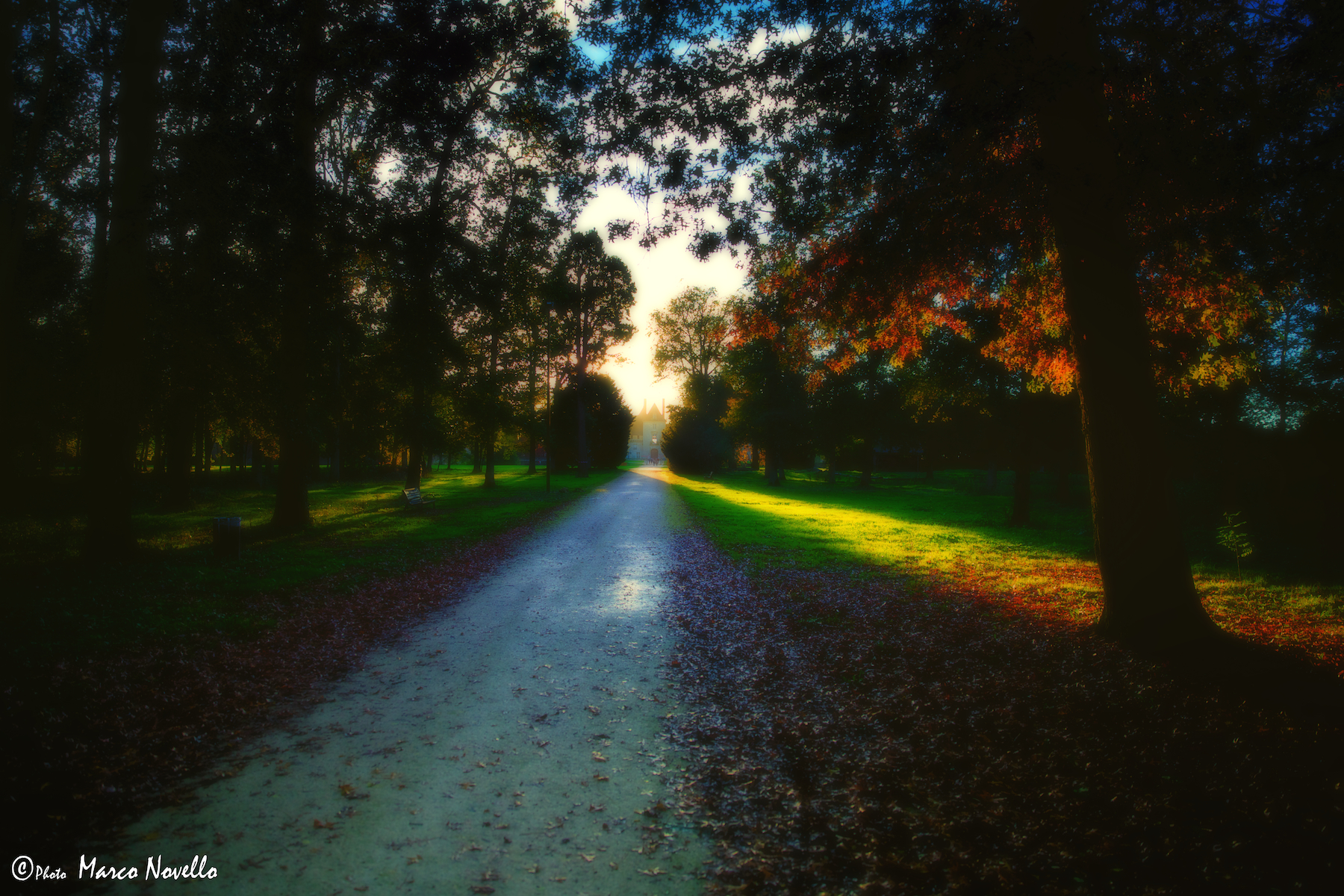 The ray of sunshine ....