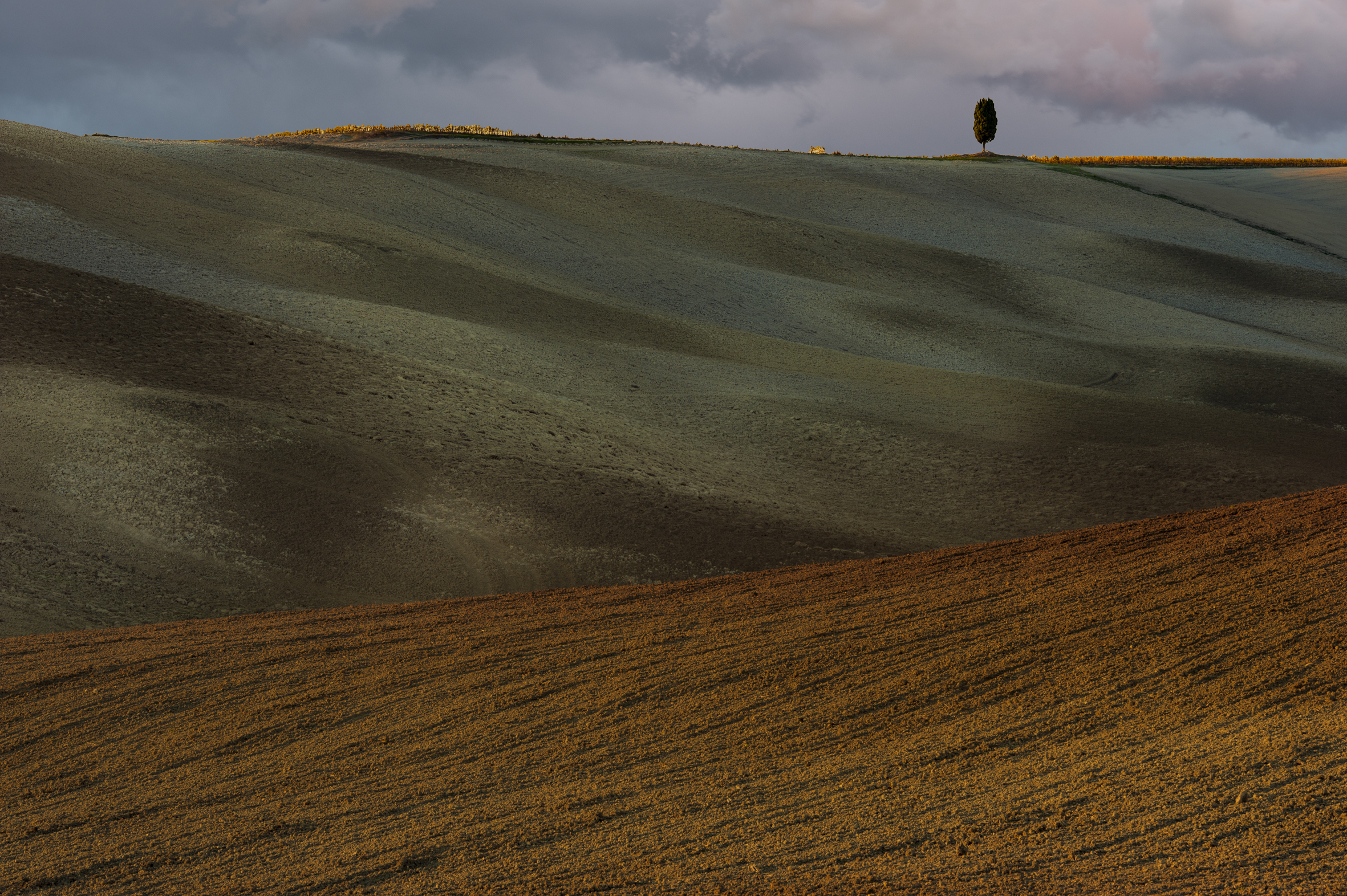 crete senesi