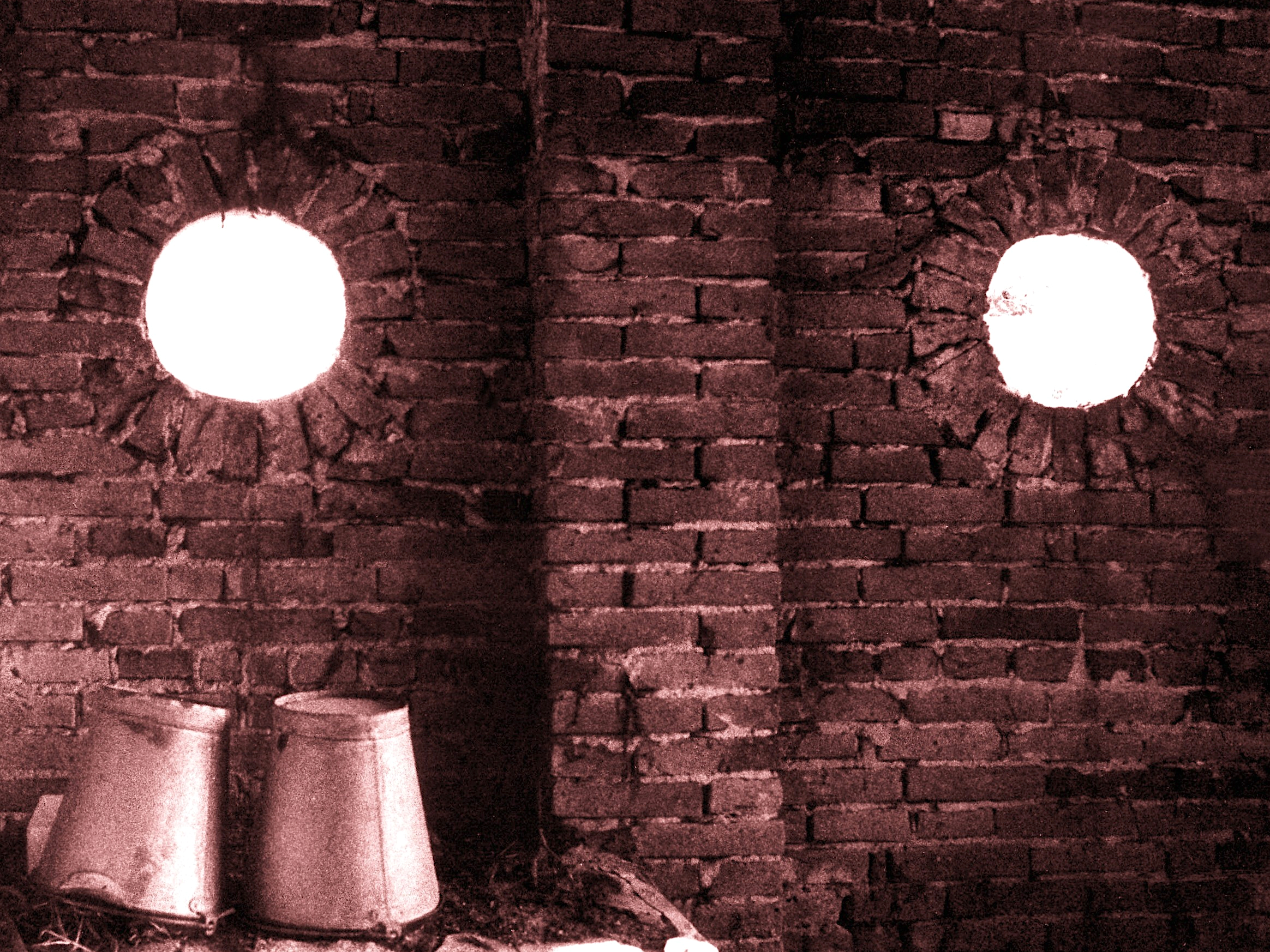 Antenati della Val Padana