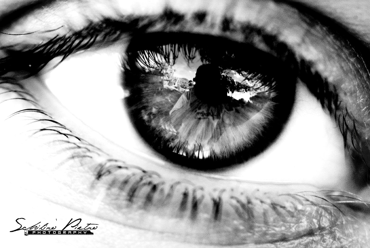 Prima ancora della scoperta del colore. 8eW