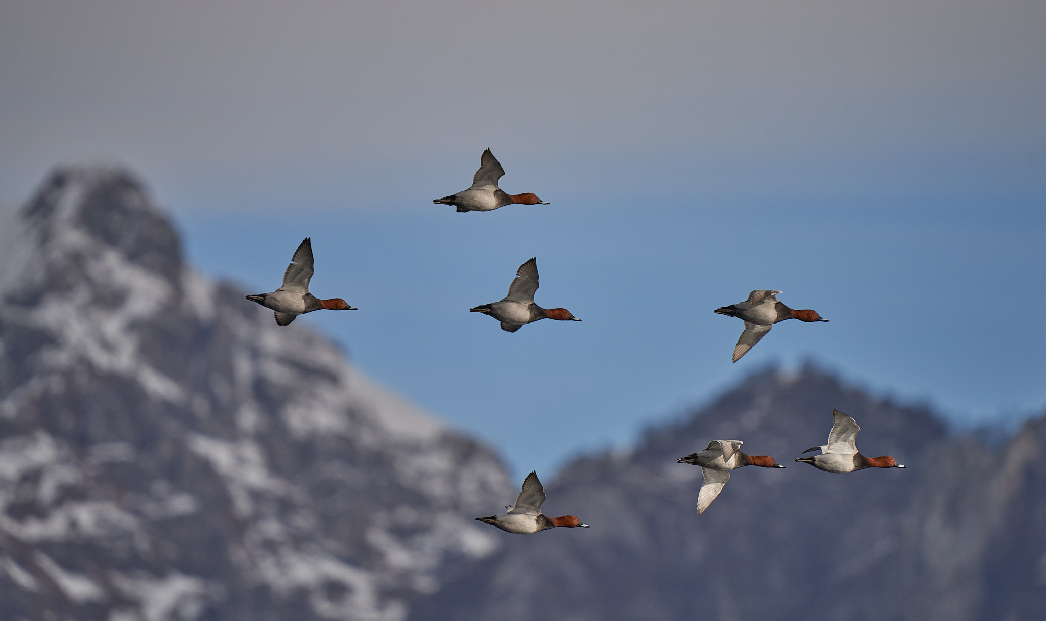 Gruppo di Moriglioni