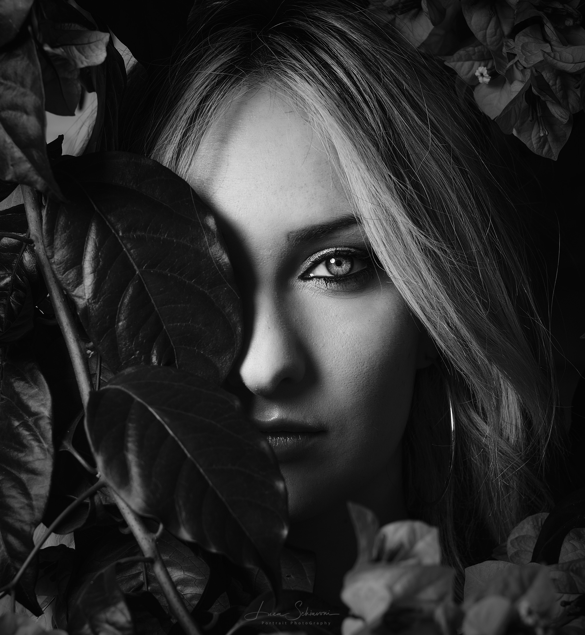 Eyes
