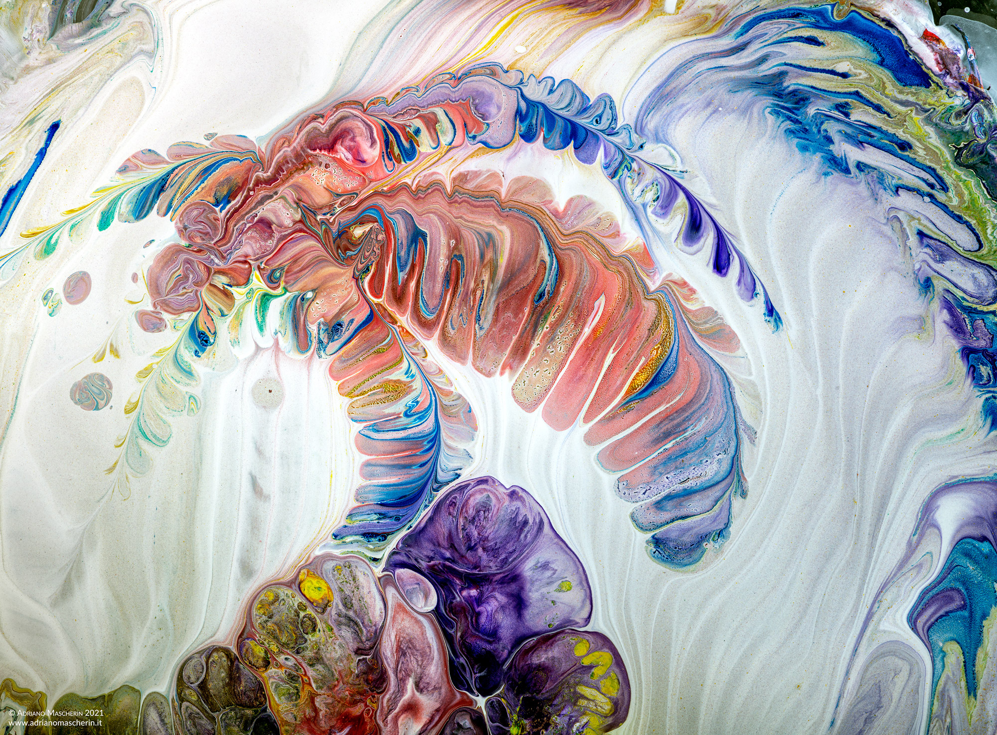 Sulle ali della fantasia