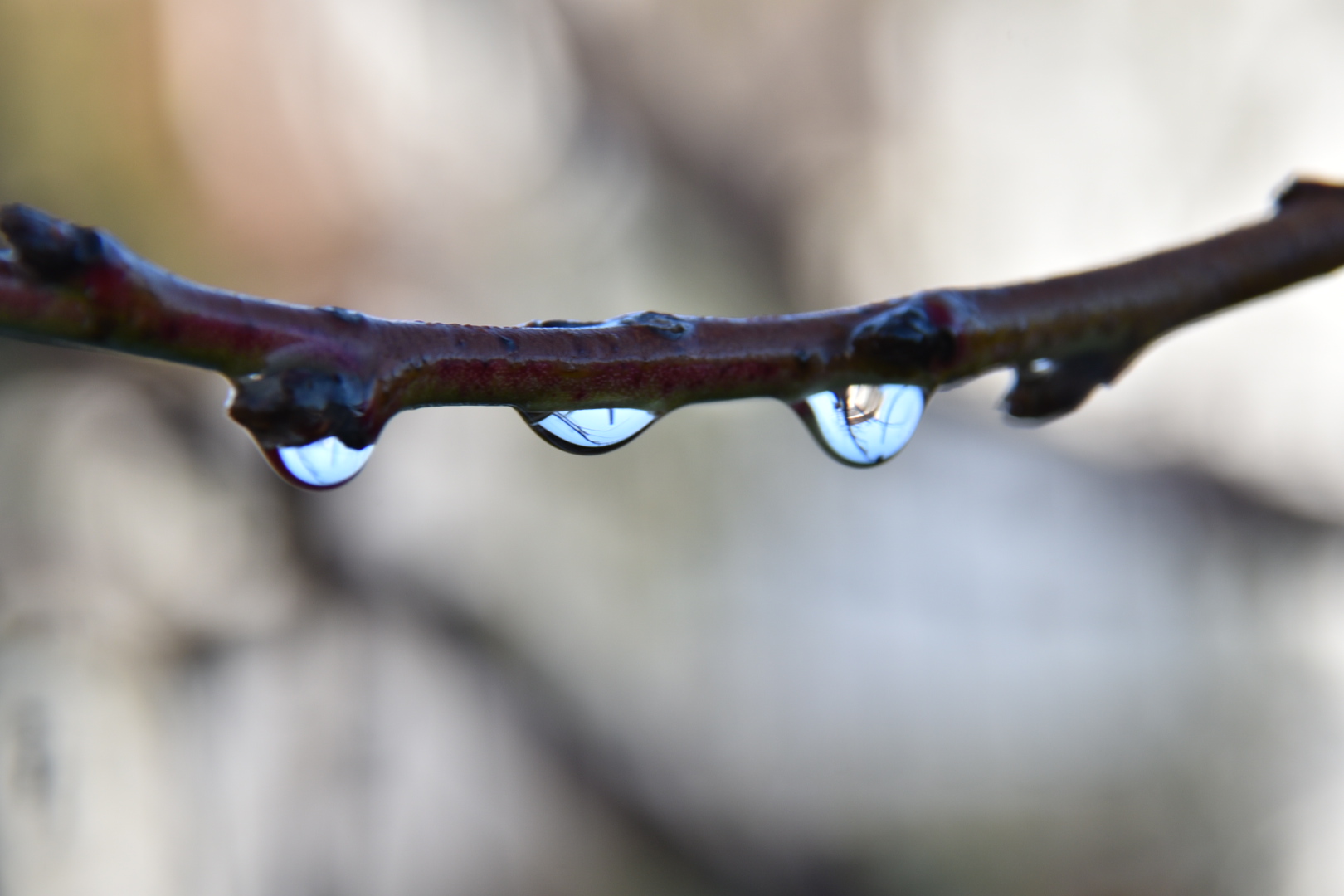 Dopo la pioggia arriva sempre il sereno