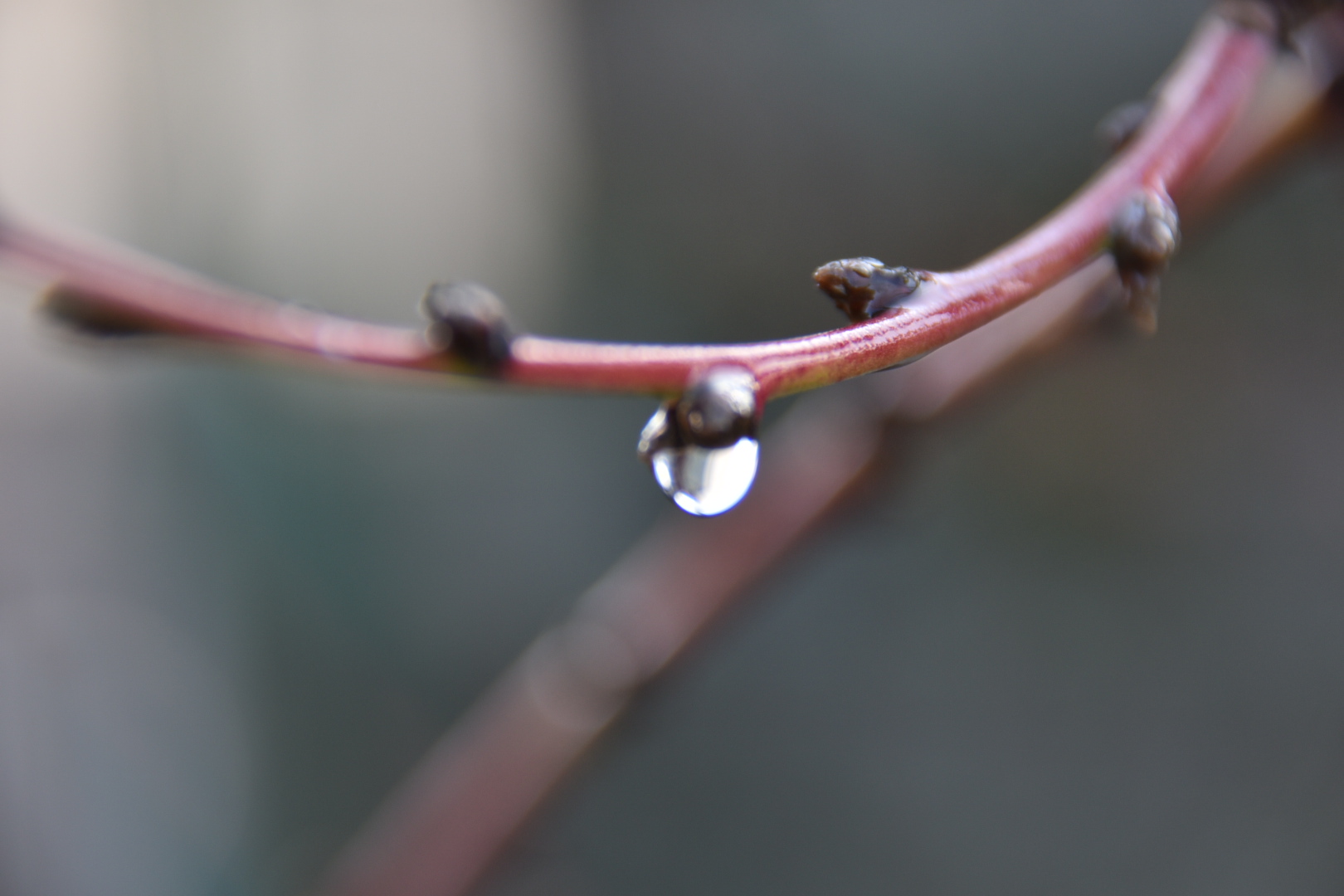 Dopo la pioggia arriva sempre il sereno