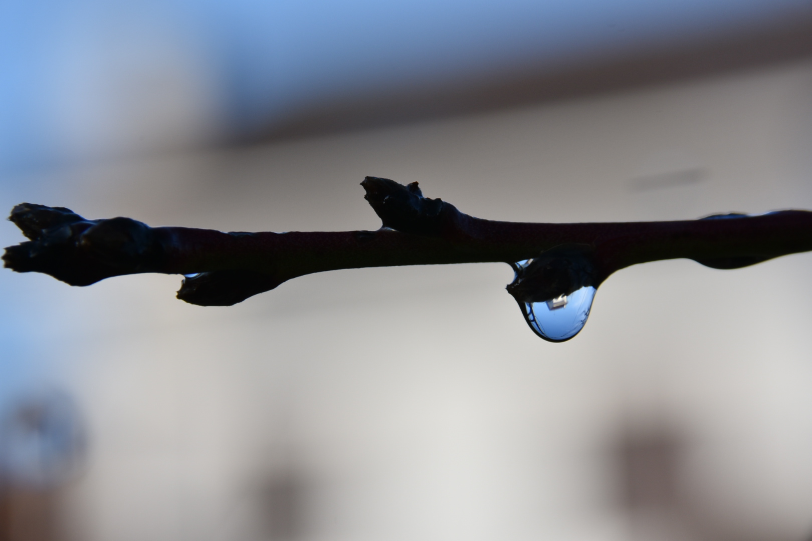 Dopo la pioggia arriva sempre il sereno