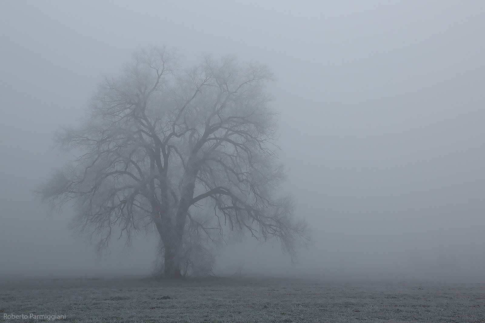 The Creature of the Mist