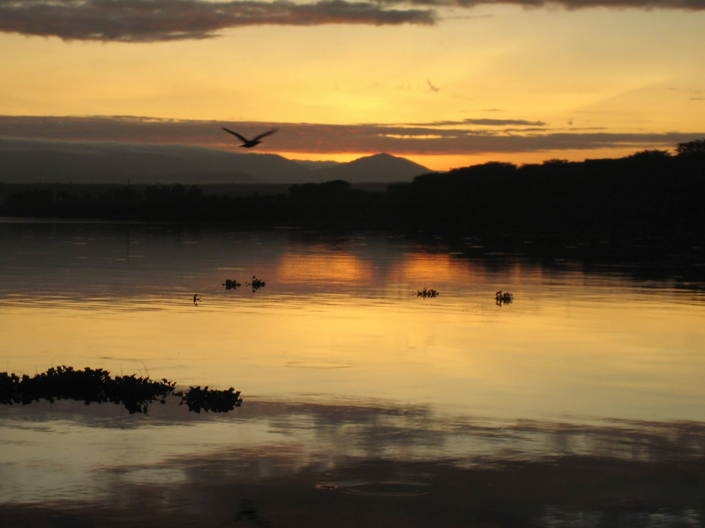 Lake Naivasha
