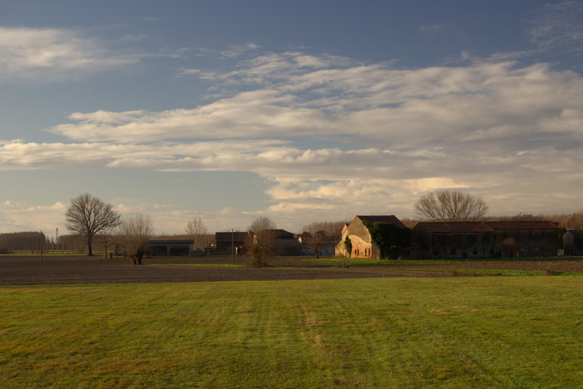 MORNING LIGHT ON THE MANTOVANA COUNTRYSIDE