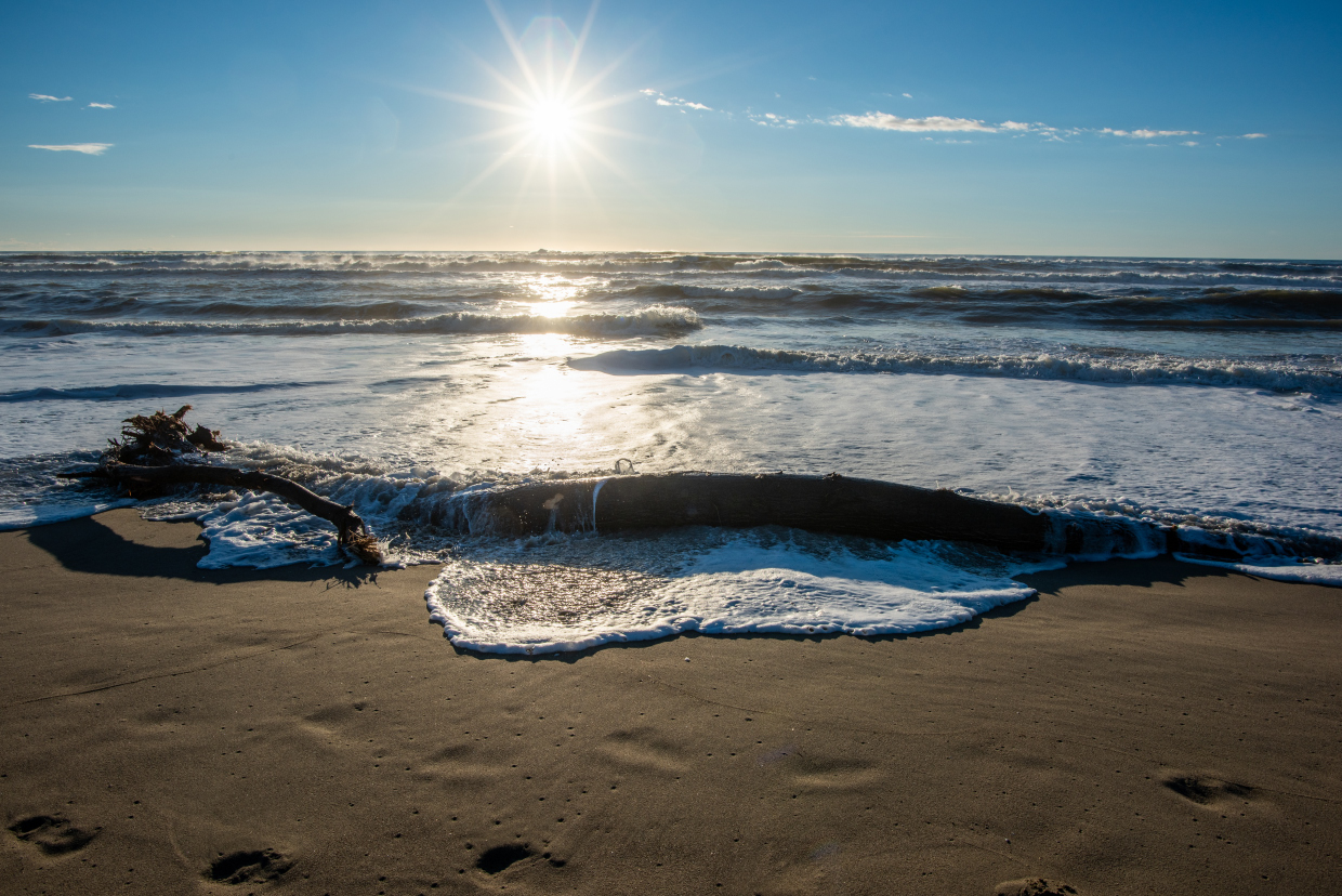 Viareggio spiaggia