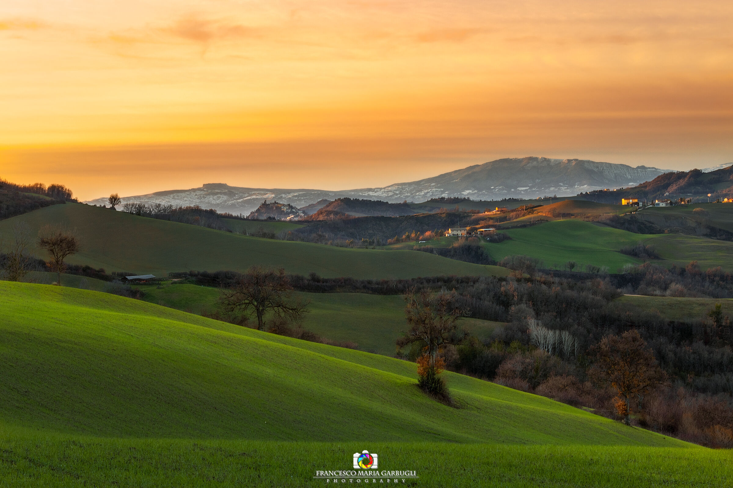 Grain pops up while and the mountains are white