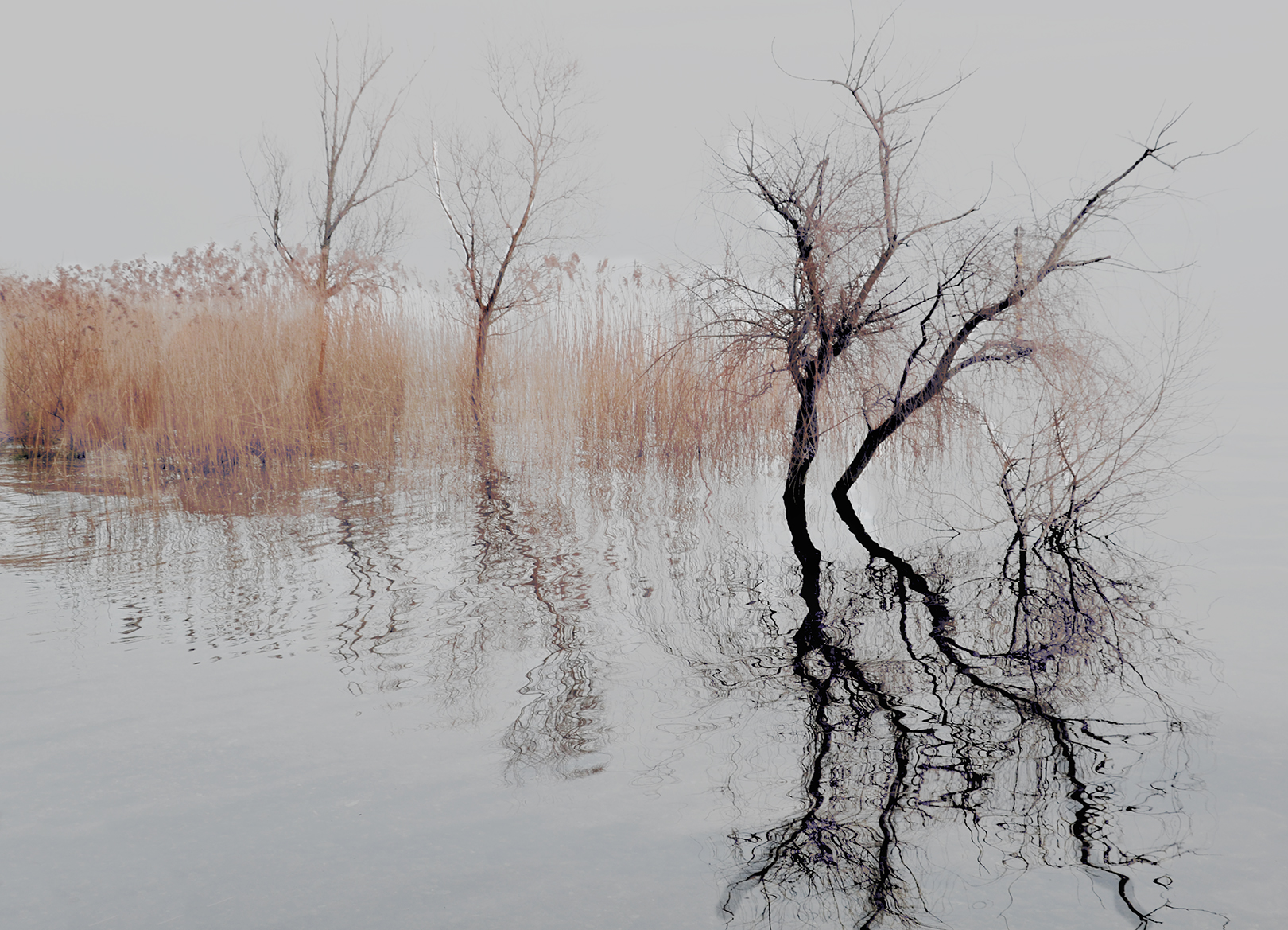Reflections on the lake