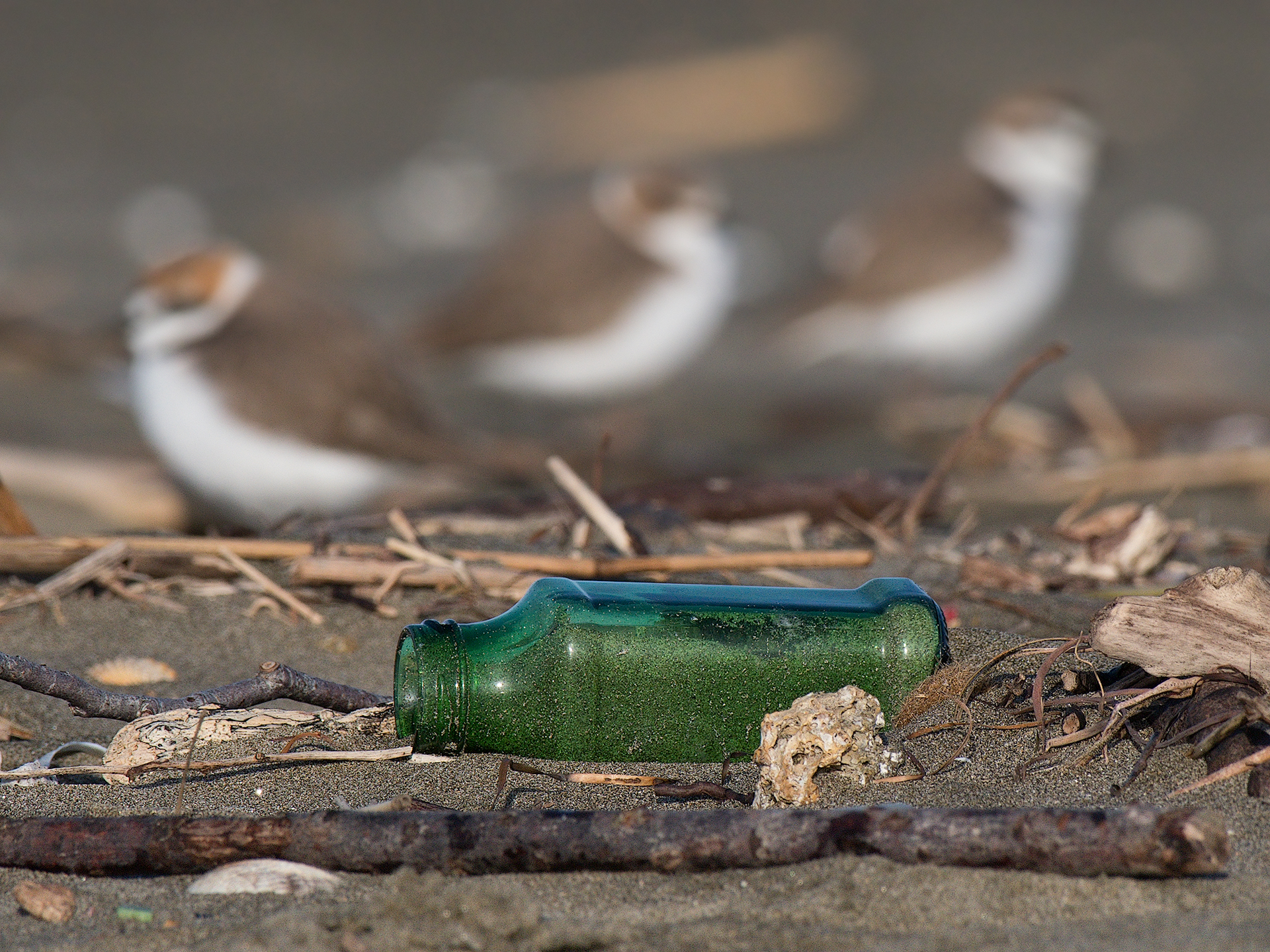 Fratini con tracce di (in)civiltà
