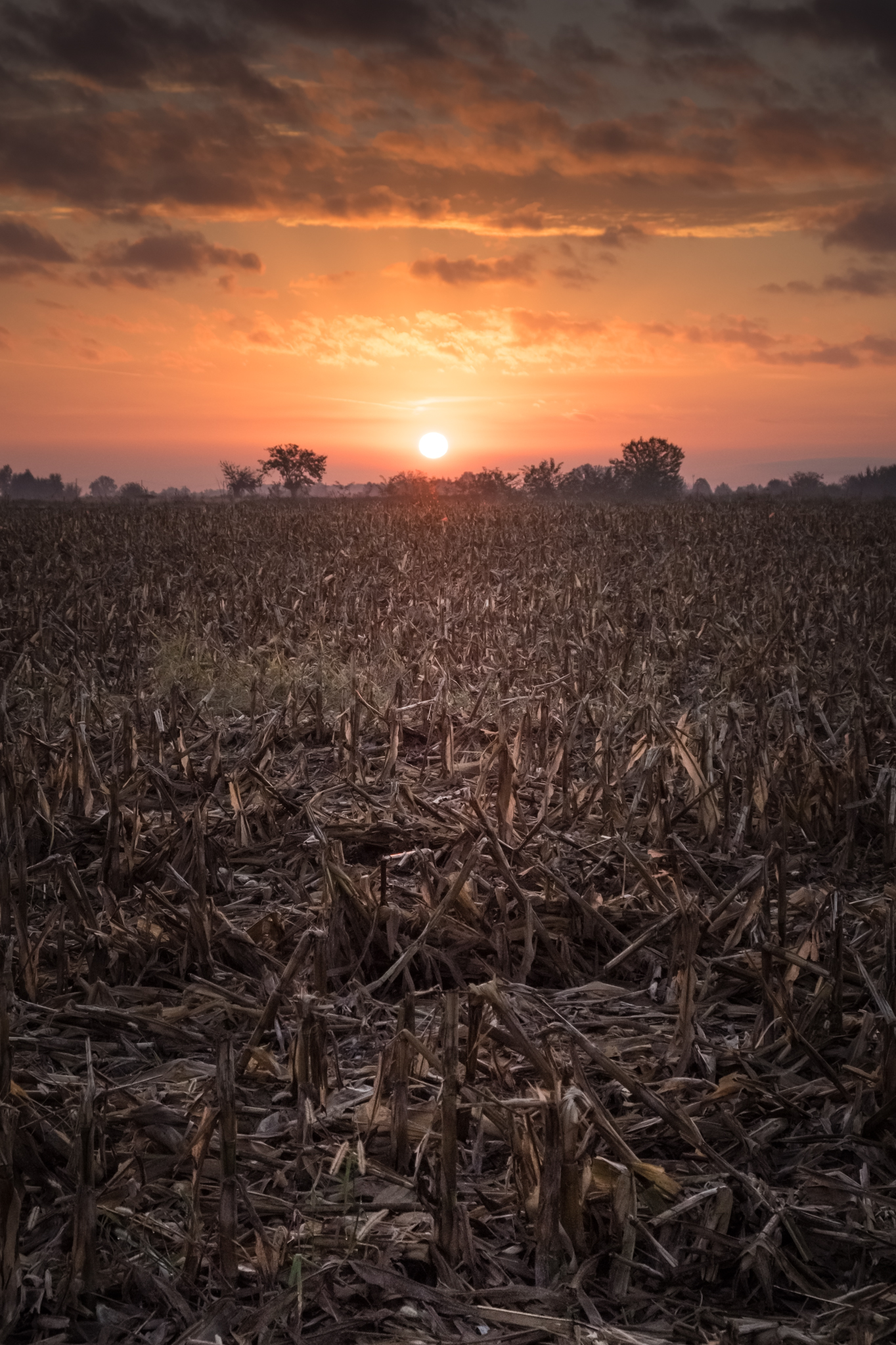 Sunrise