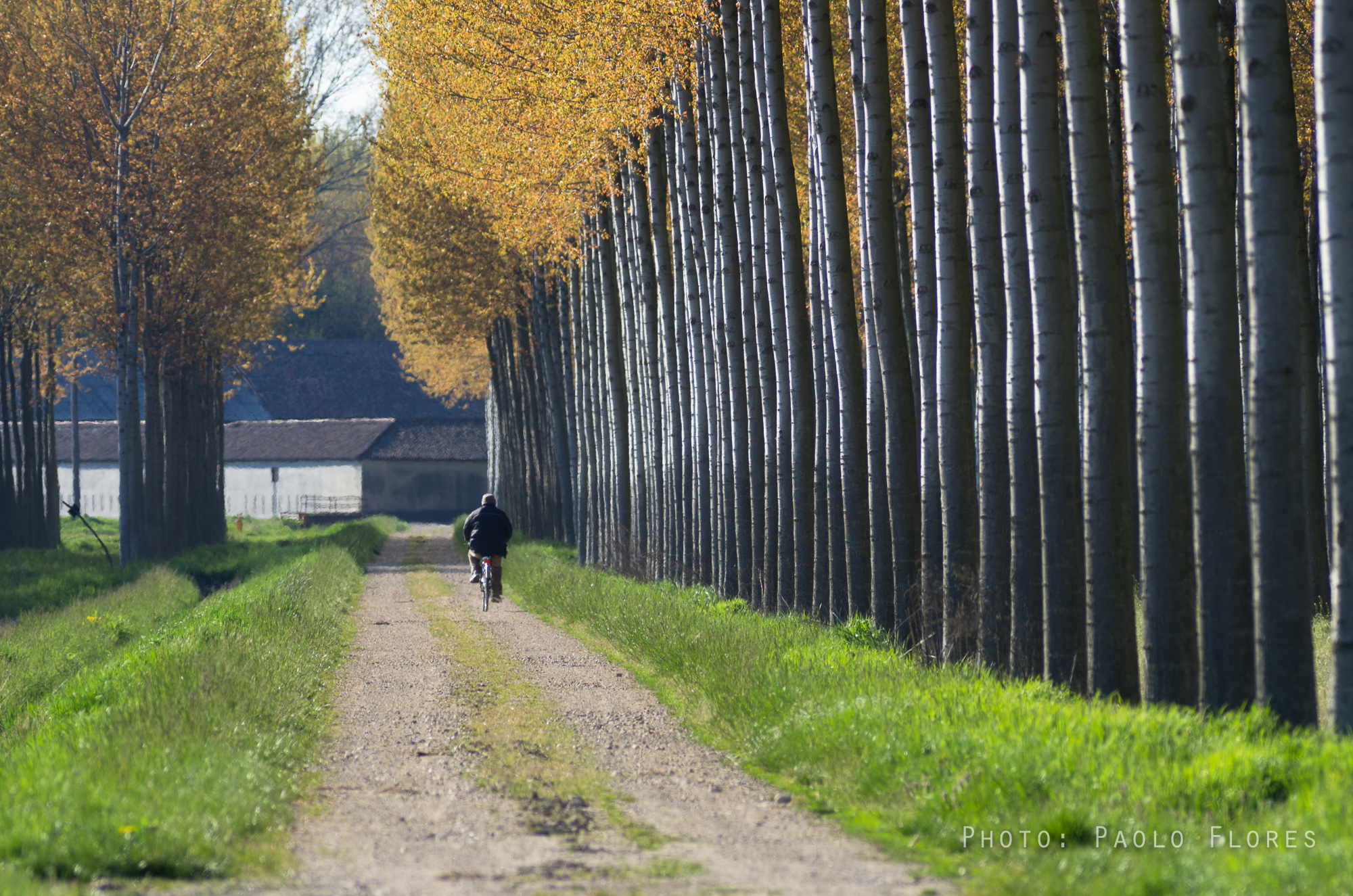 Towards Cascina Grande