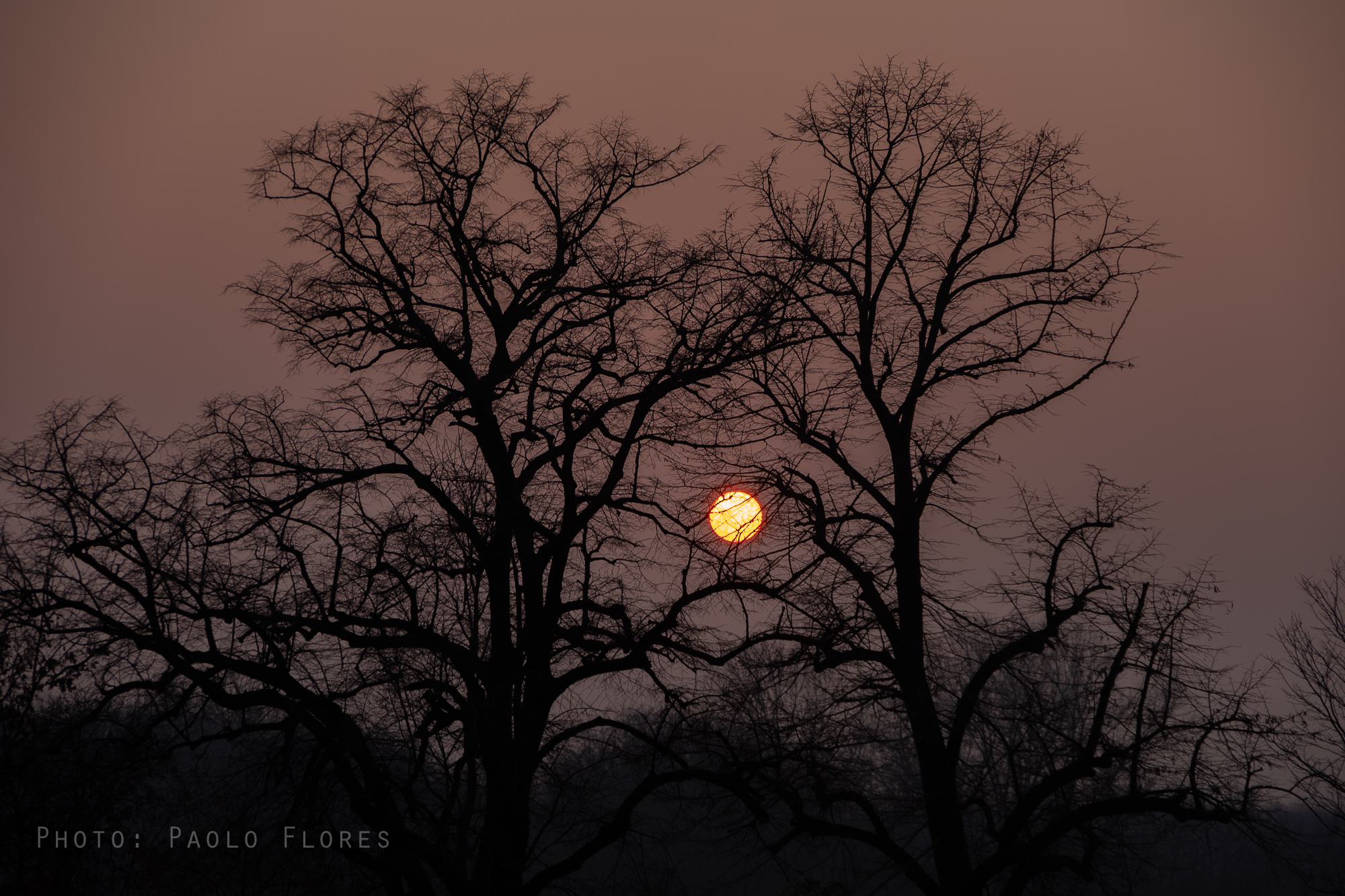 Guardiani del Tramonto