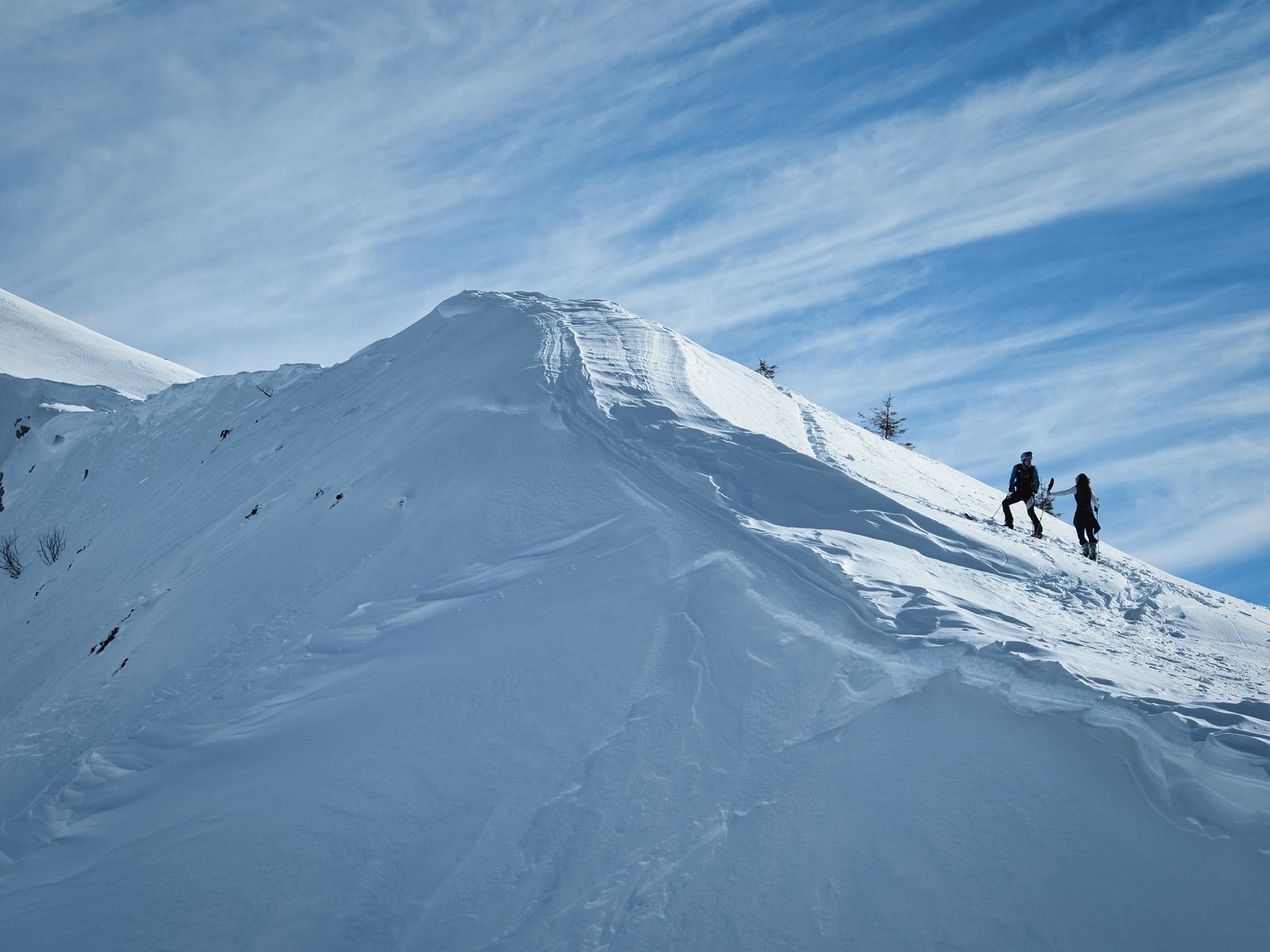 Scialpinisti, verso cima vacche, Alpago