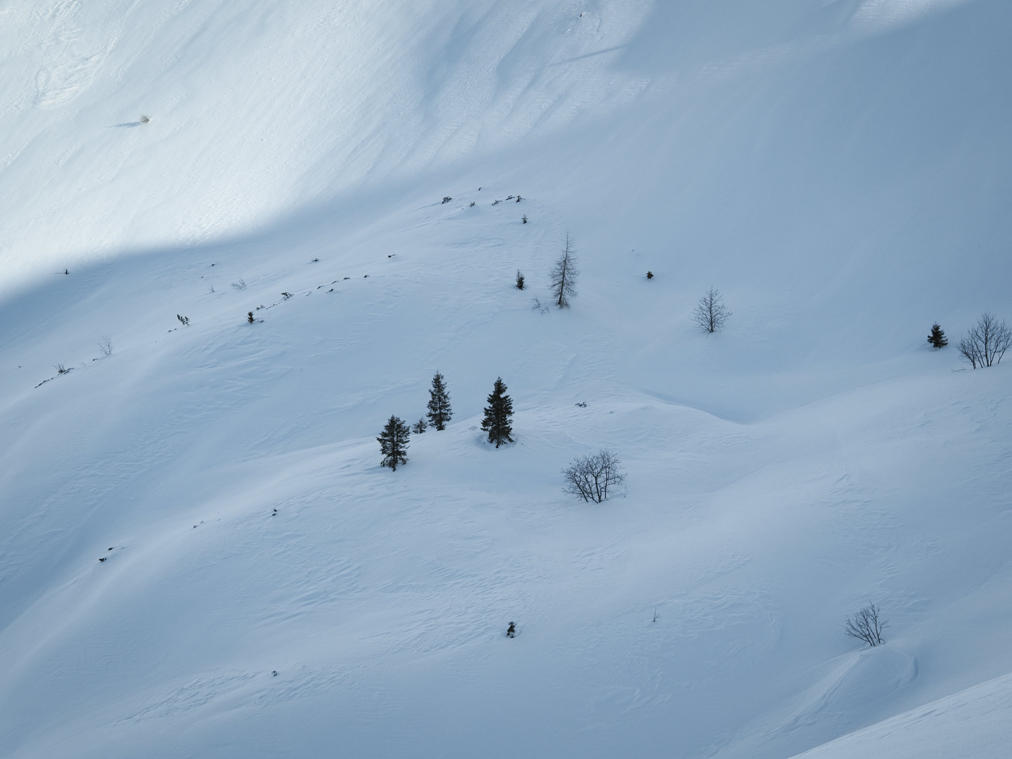 Gli unici di non passaggio!