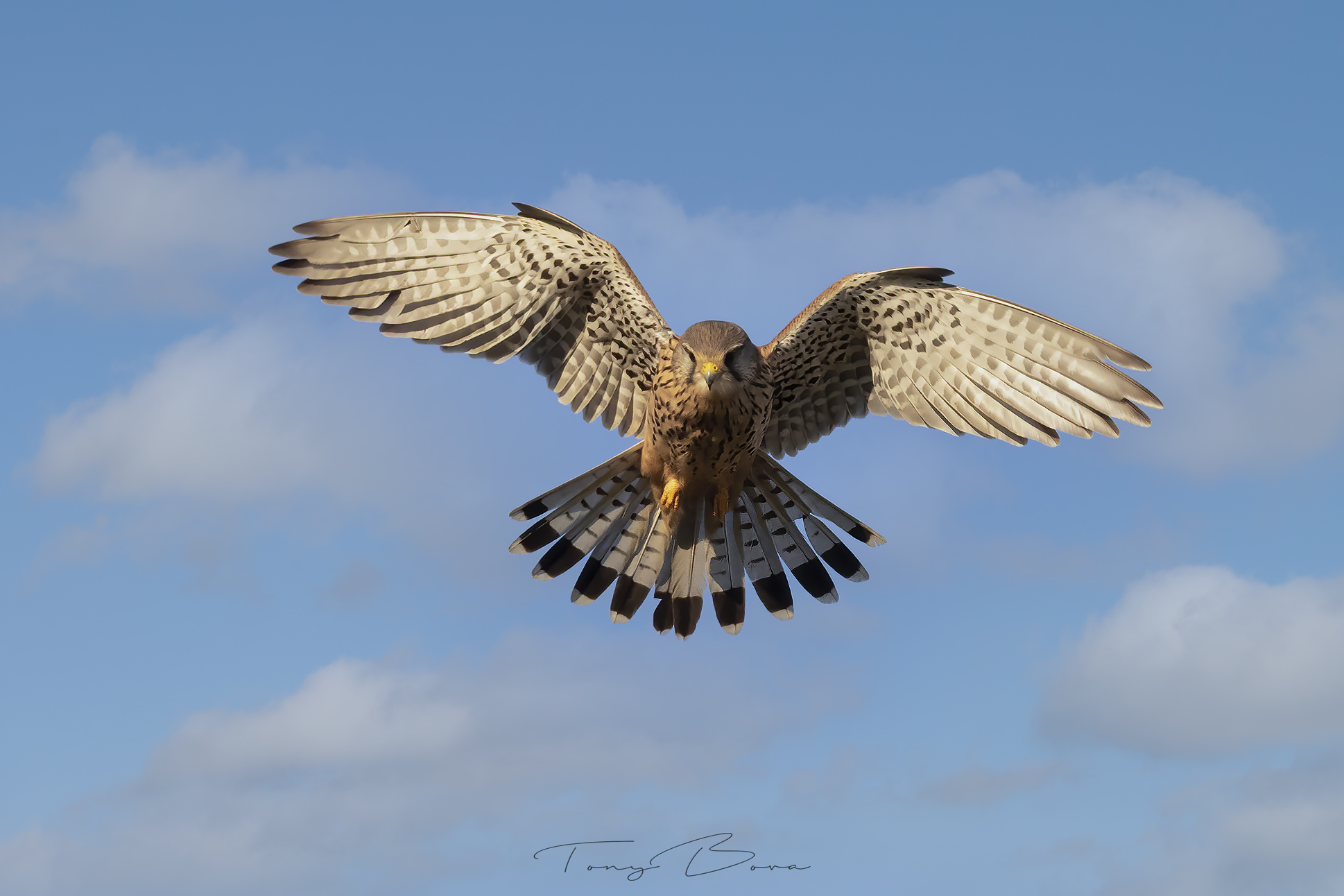 Spirito Santo ... Amen