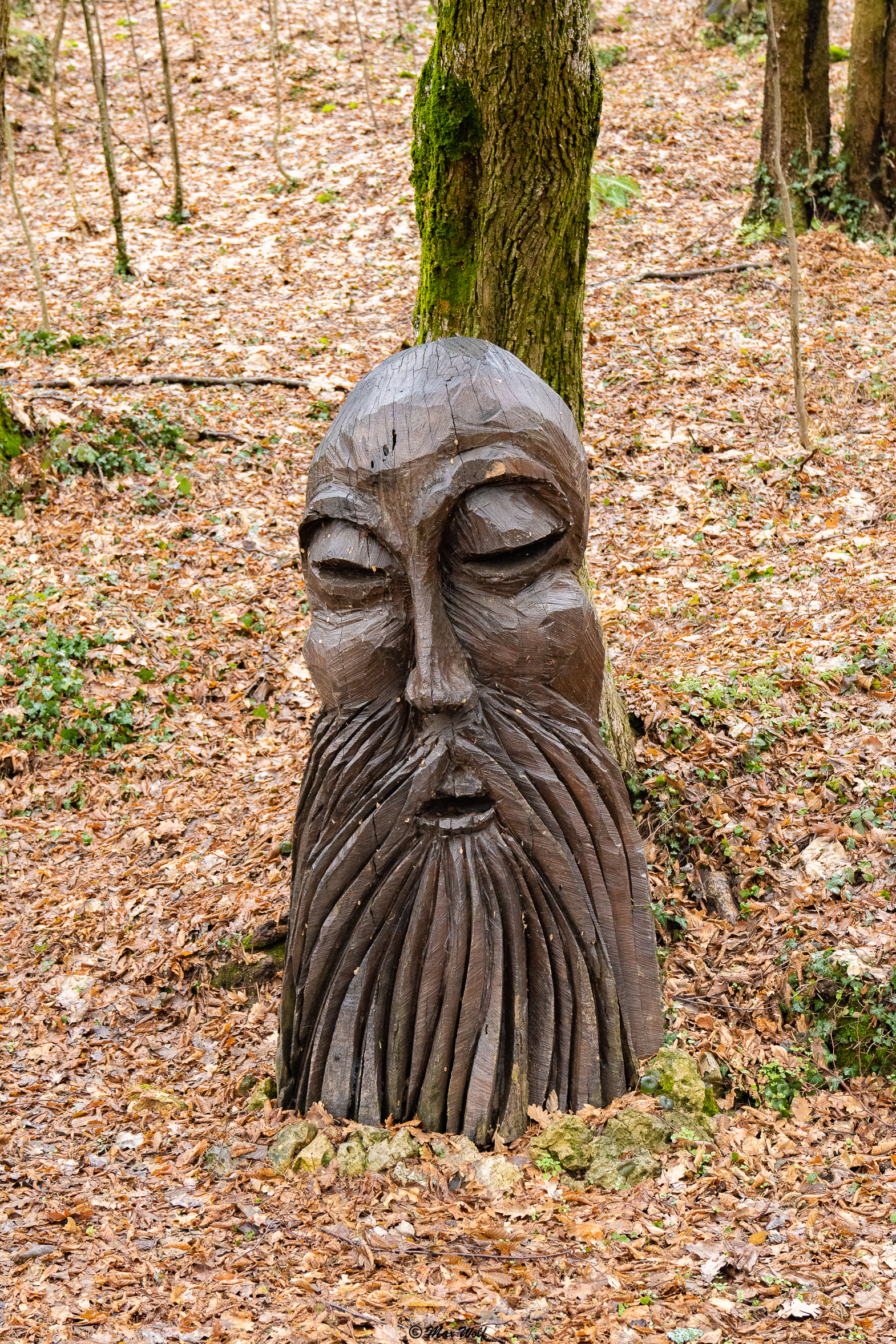 Wood sculpture 2