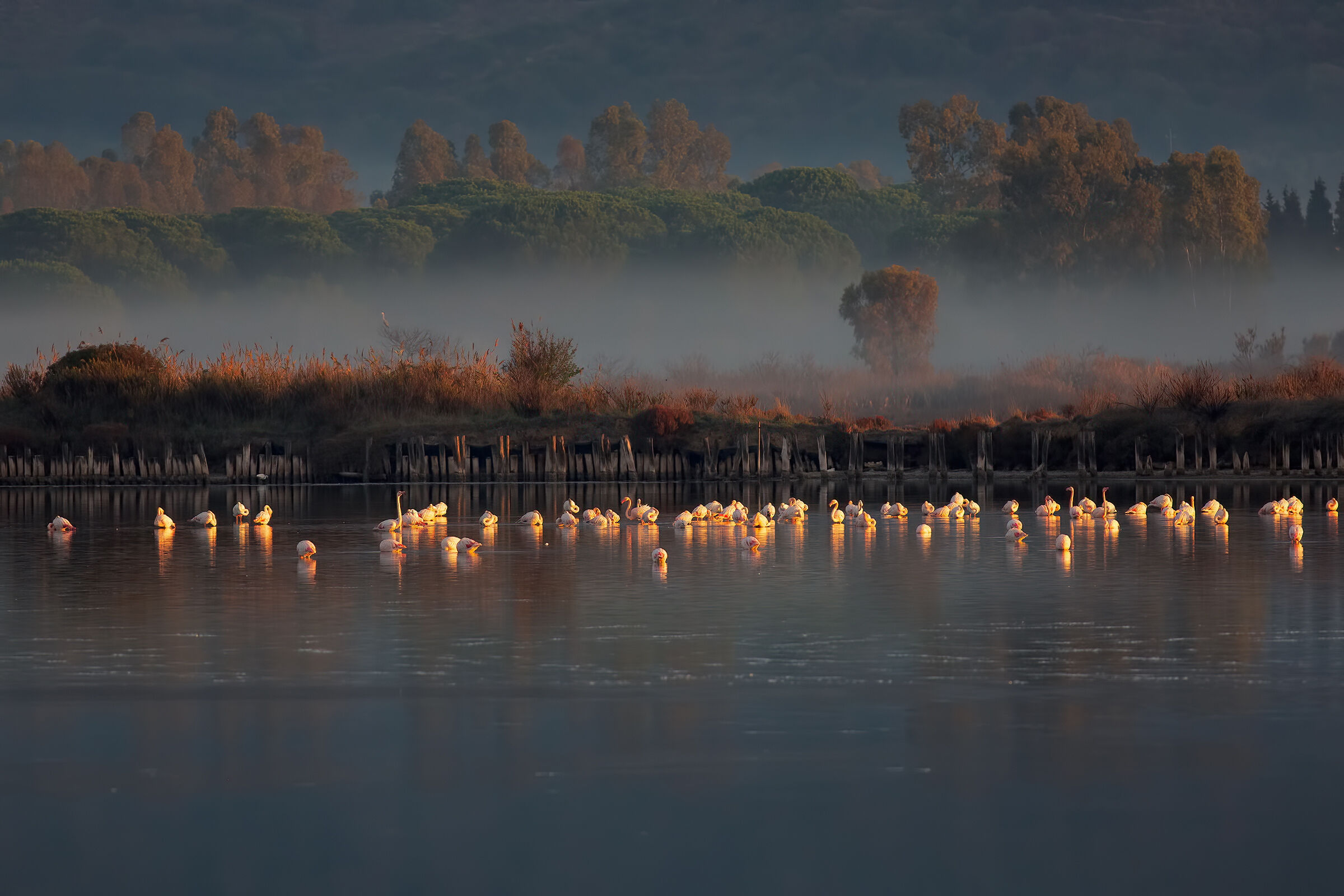 Laguna di Orbetello (Prime luci dell'Alba)