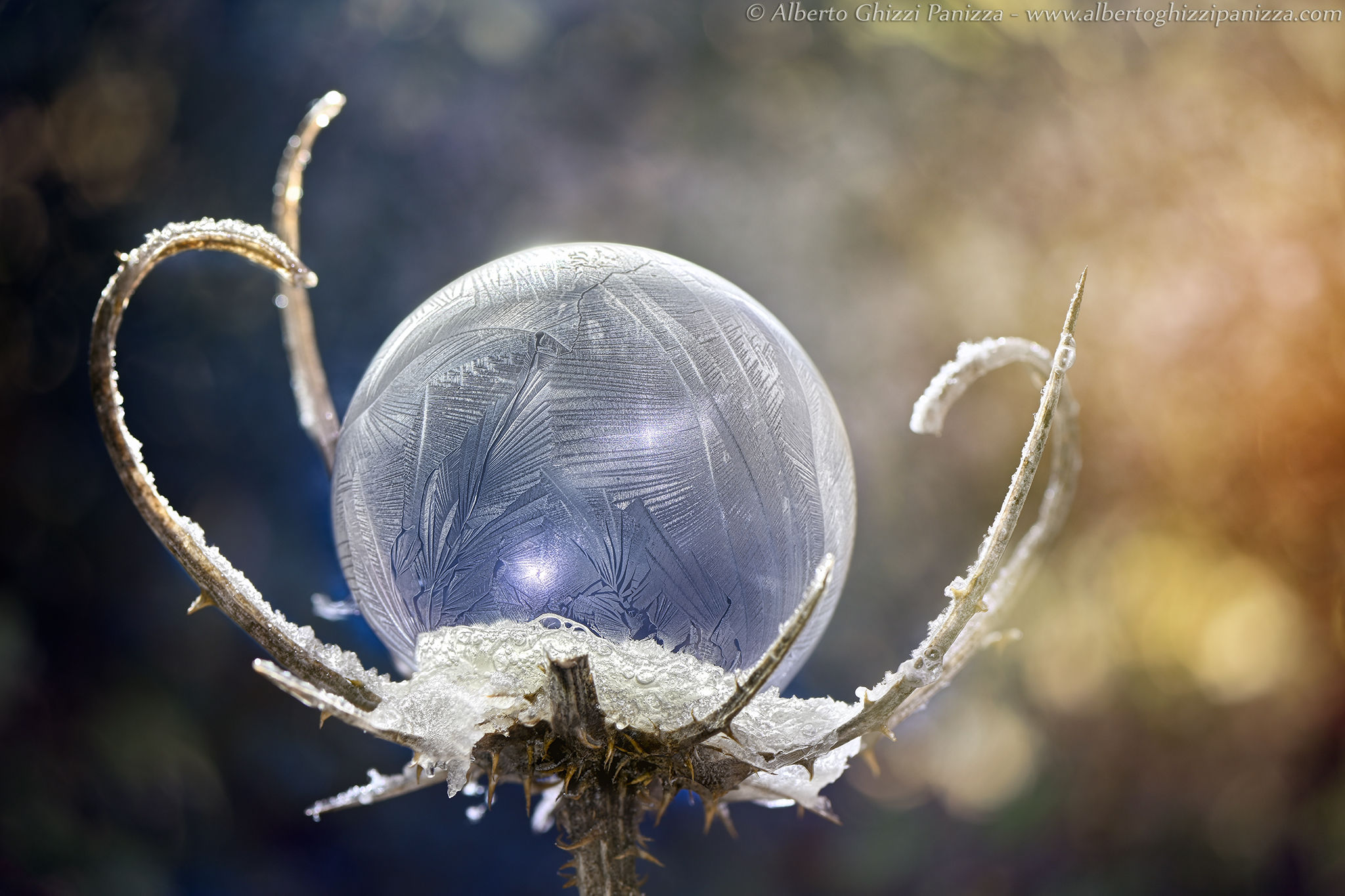 Frozen bubble #4