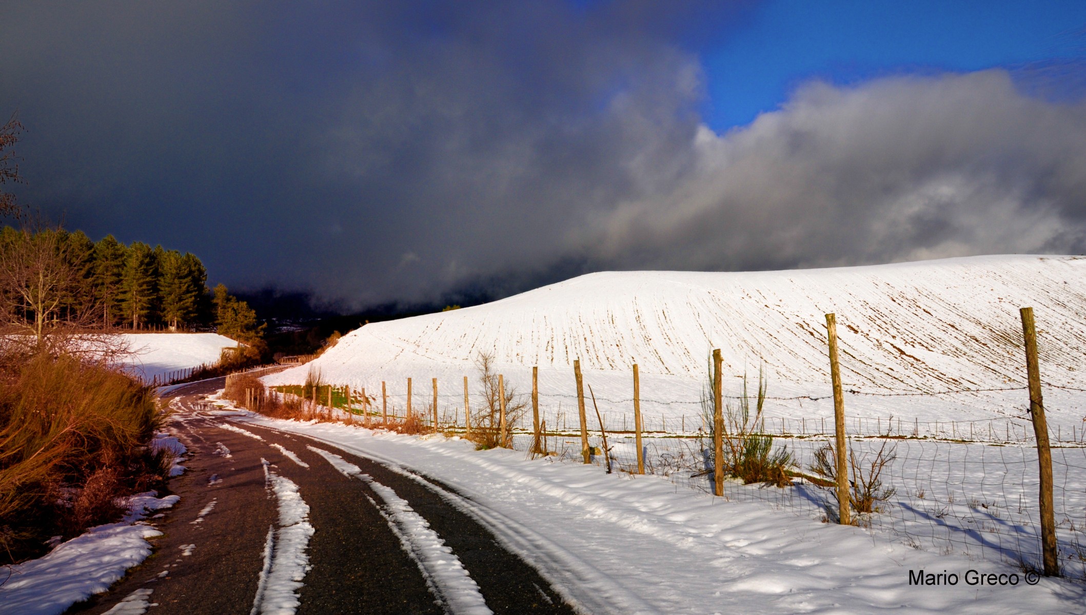 La via degli agnelli