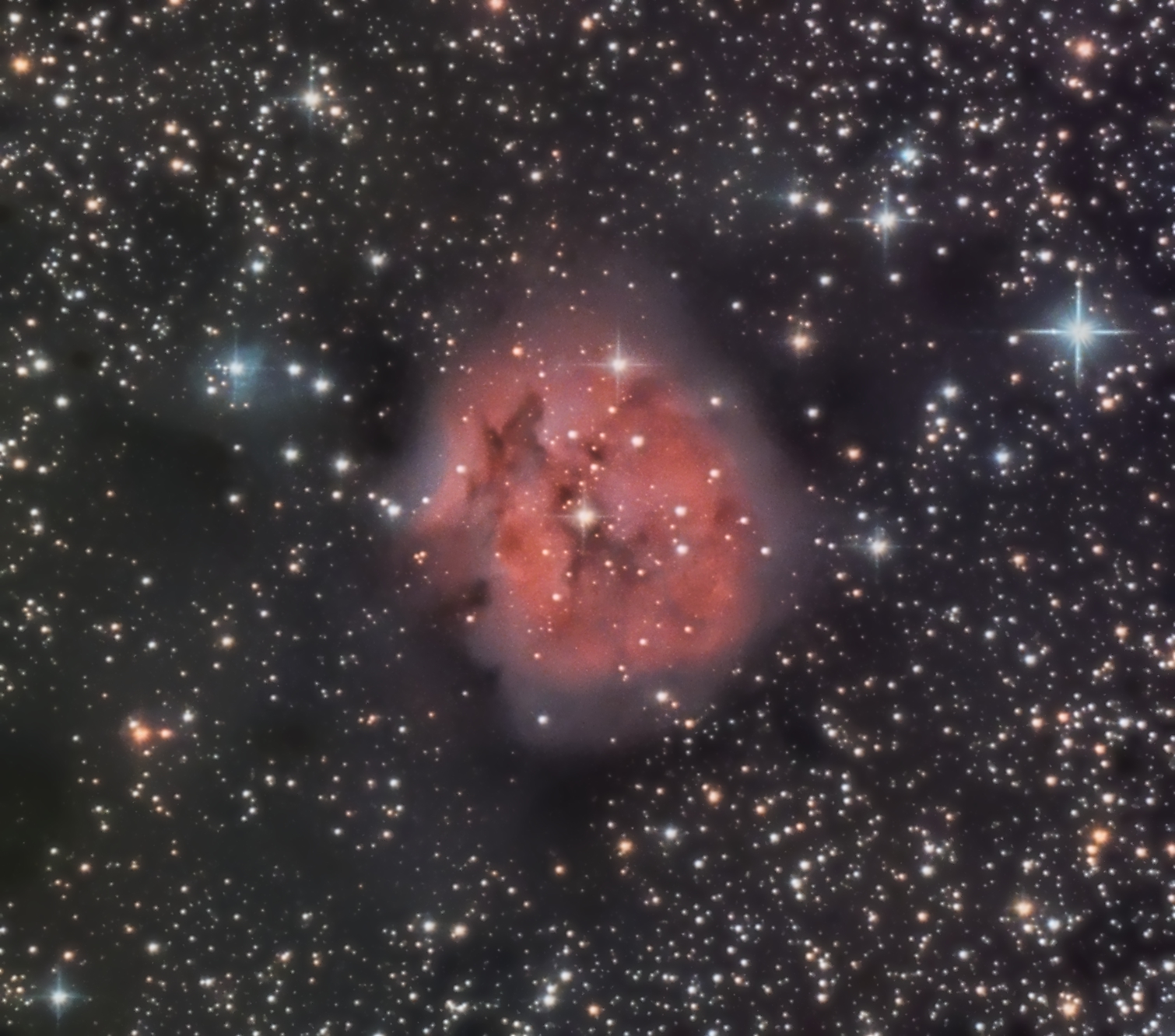 Cocoon Nebula August 2020
