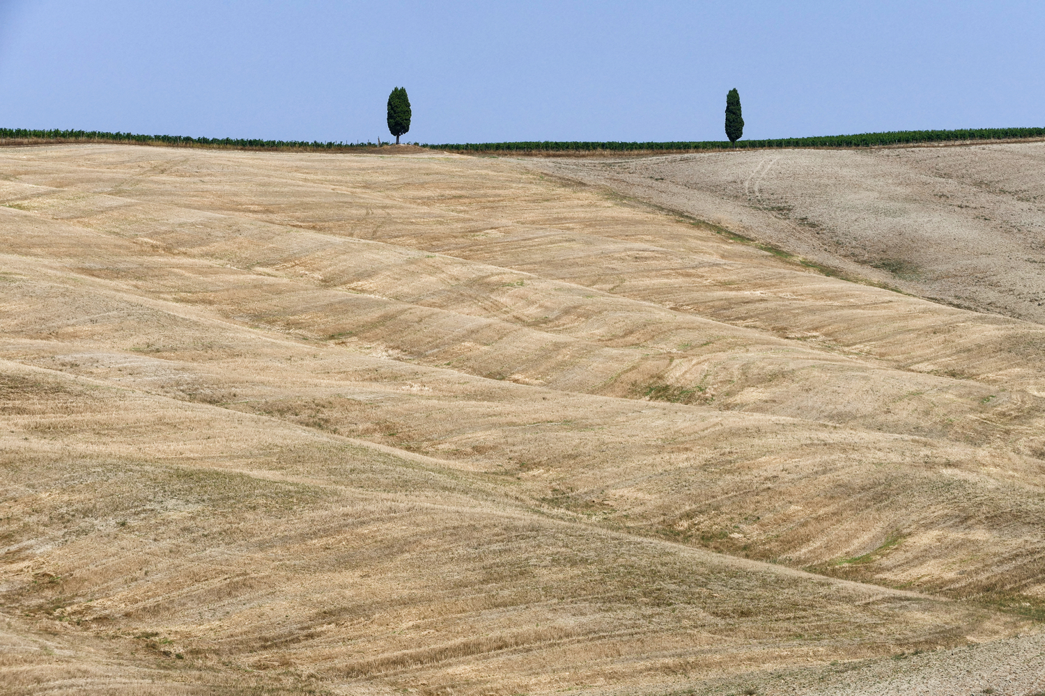 Crete Senesi