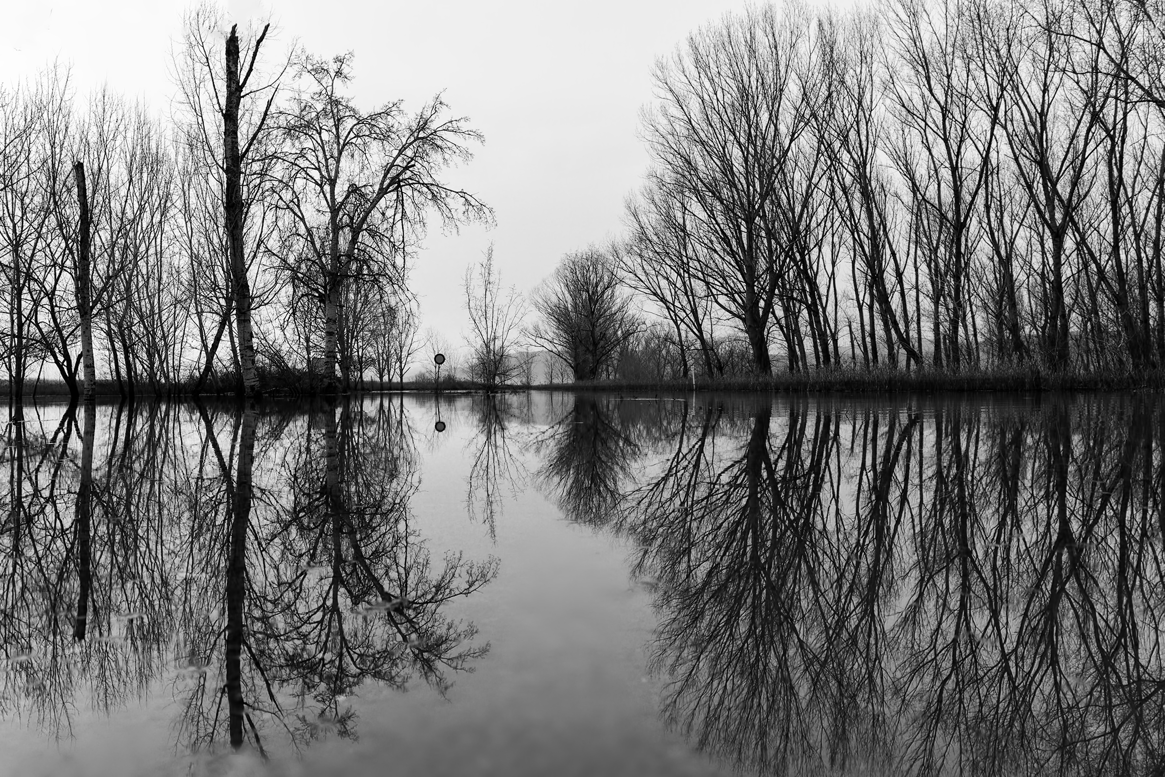 Winter in padule