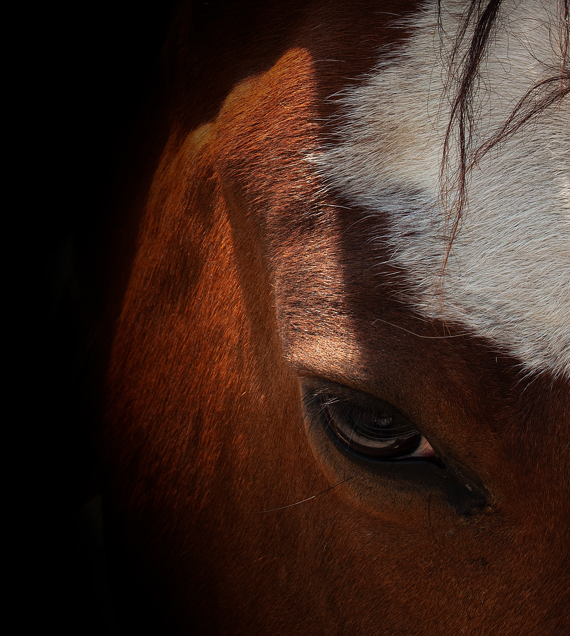 Deep eye