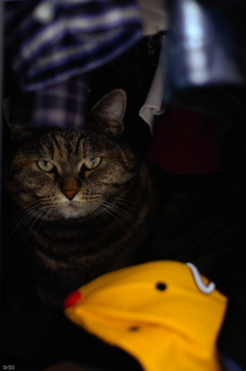 If you were going to plotting to kill me?