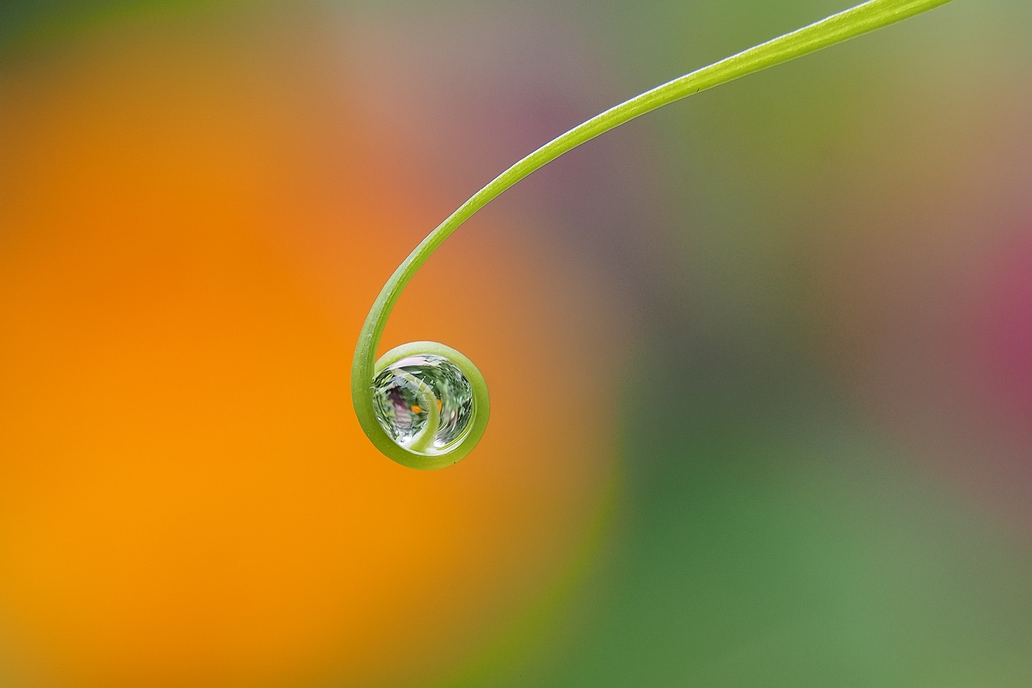 raindrop caught at the end