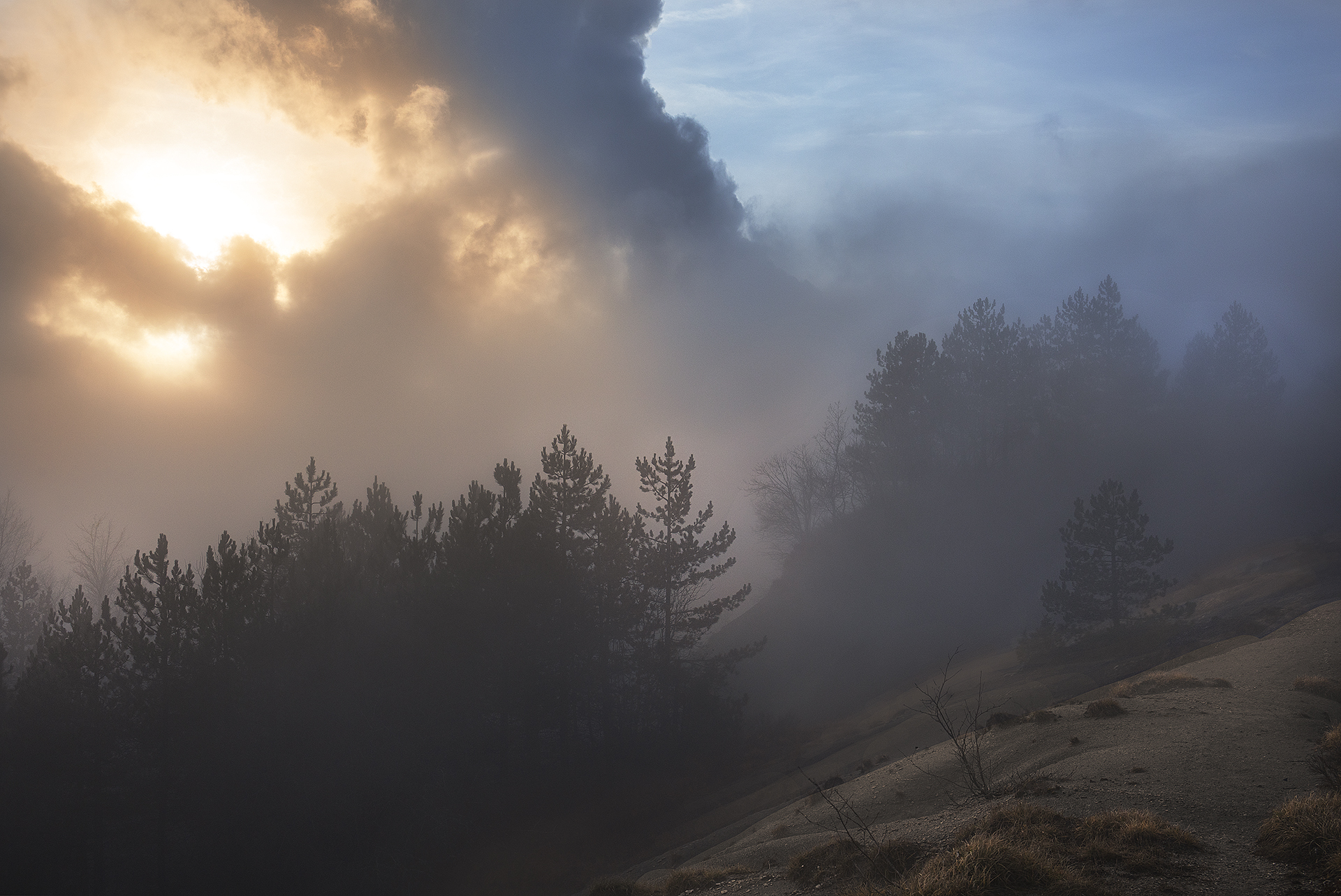 Bagliori nella nebbia