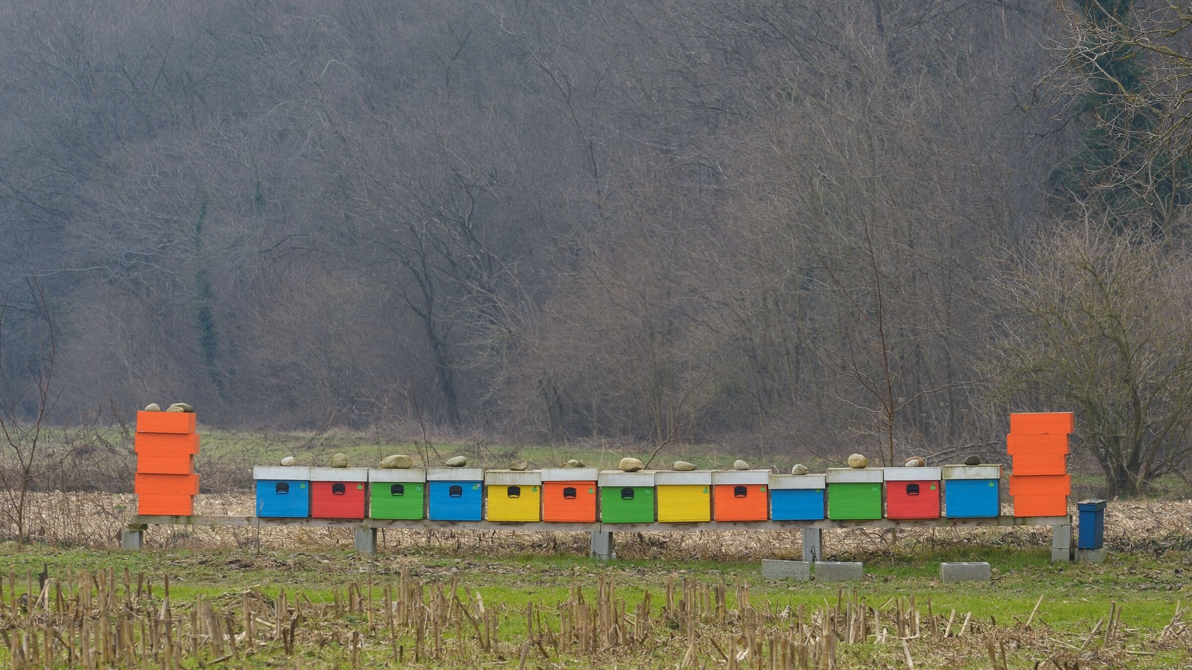 Alveari - vallata del Ticino