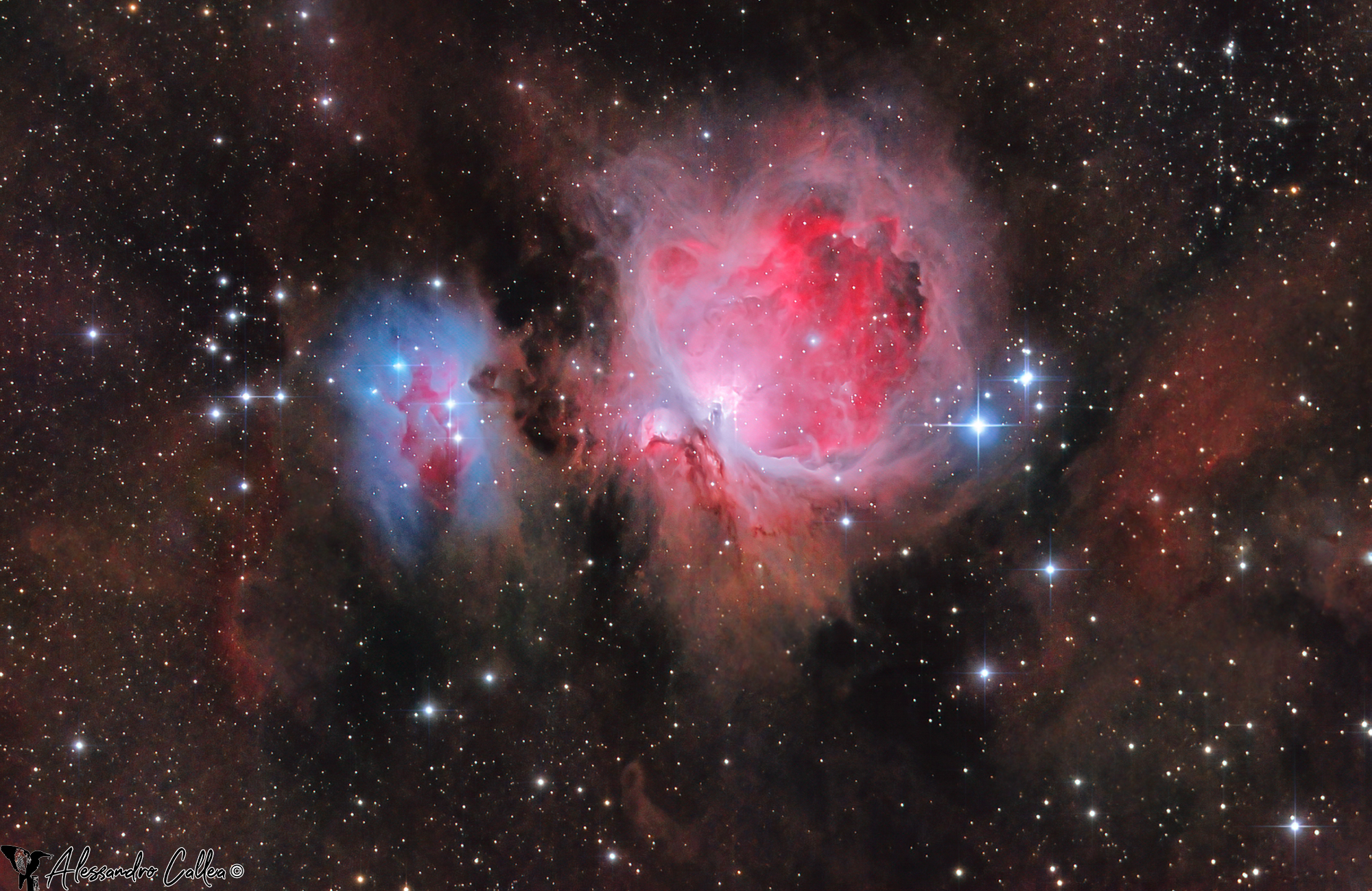 m42 versione più calibrata