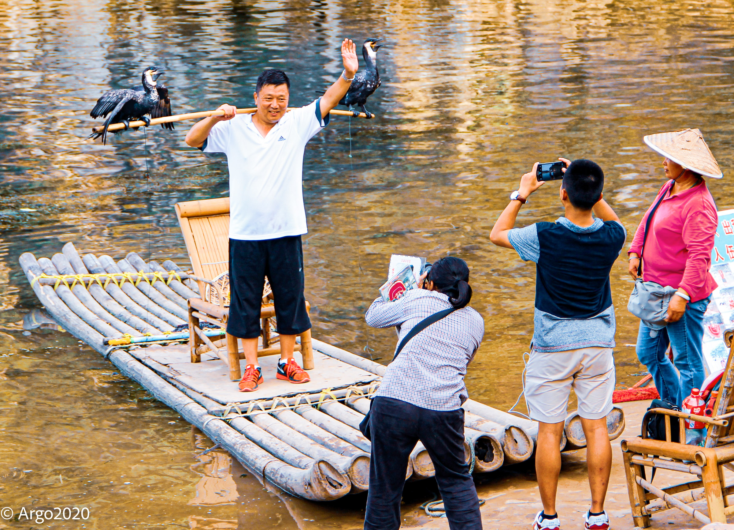Pescatore e cormorani