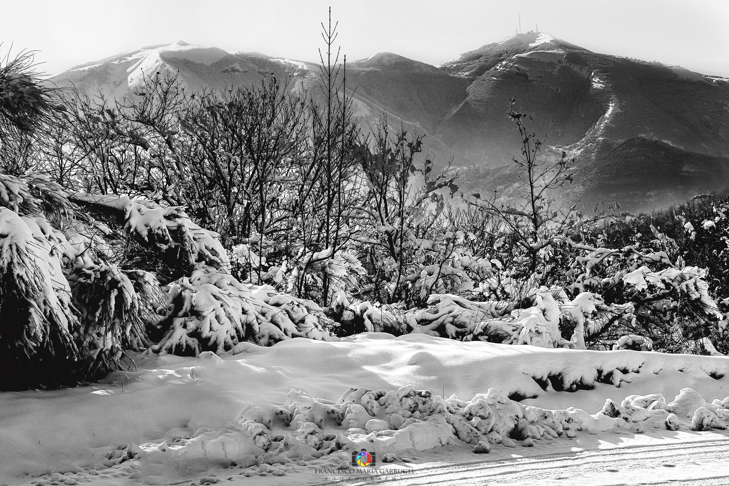 Ammirando il Nerone innevato.....