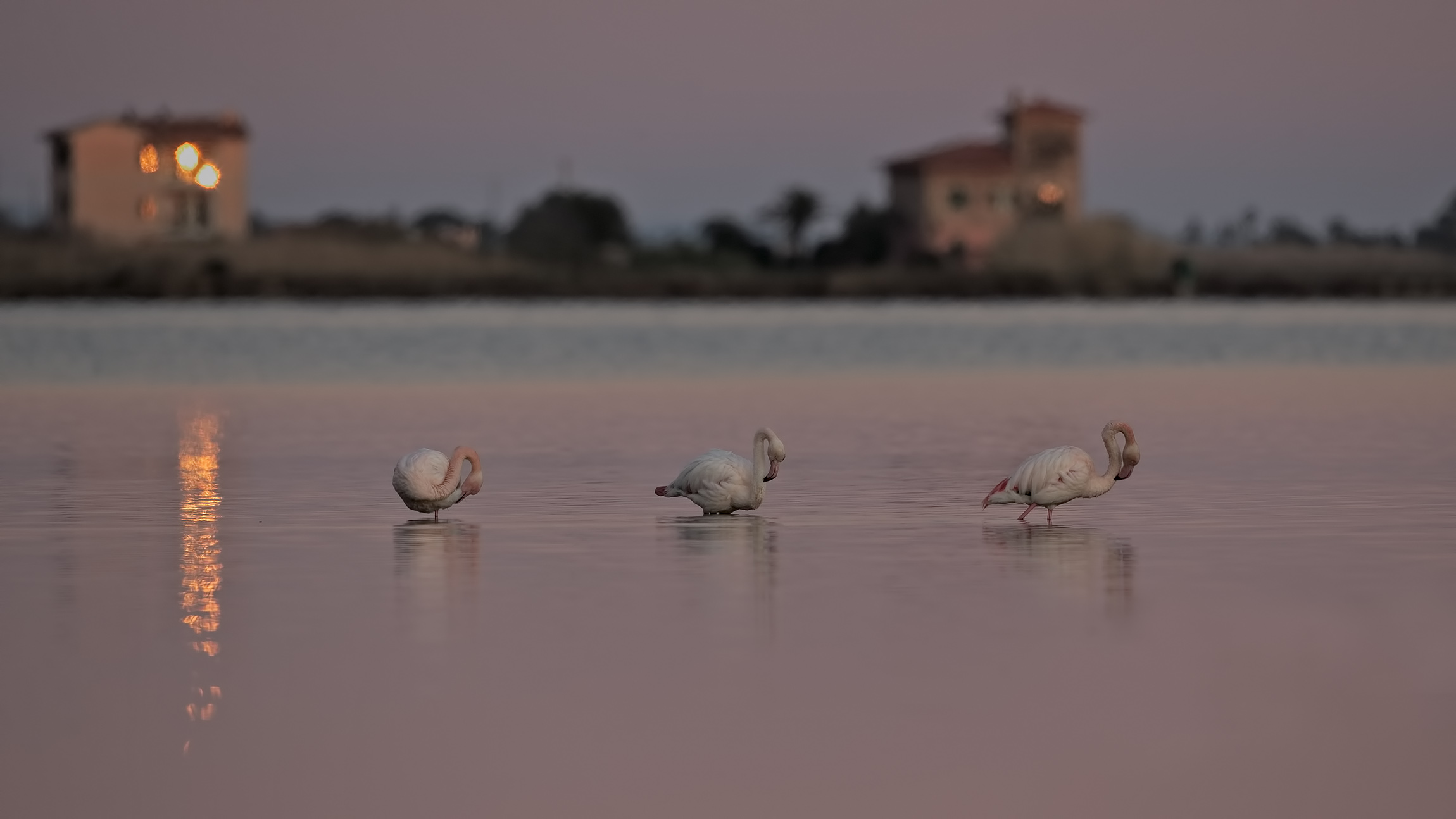 lentamente ci si sveglia
