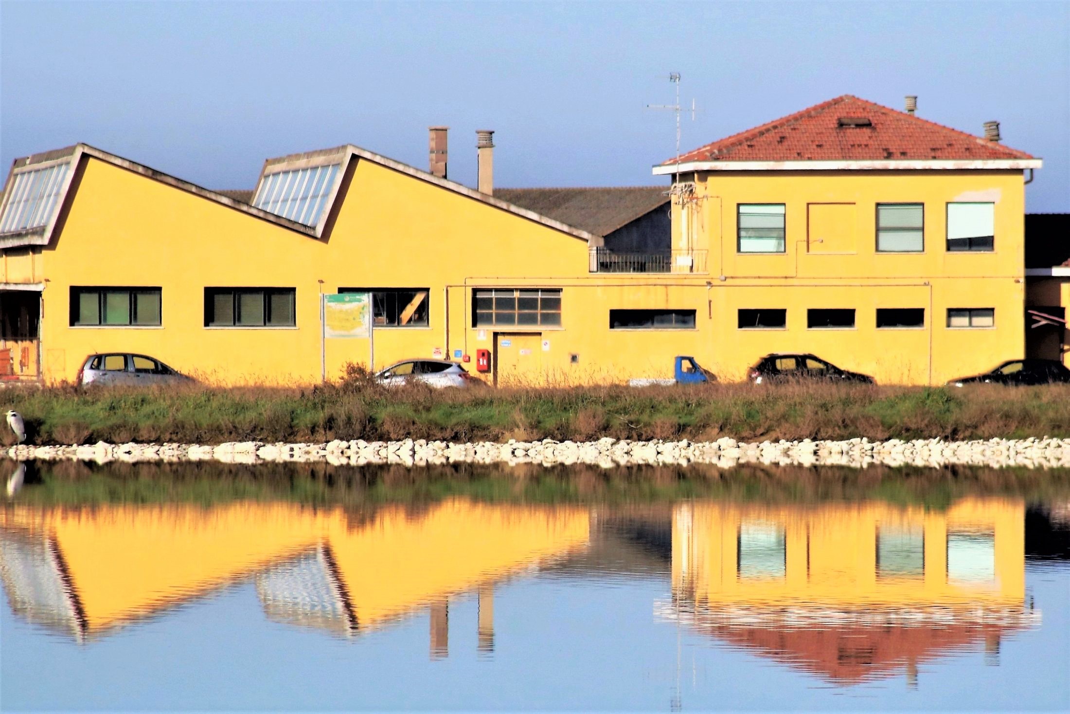 Riflesso giallo