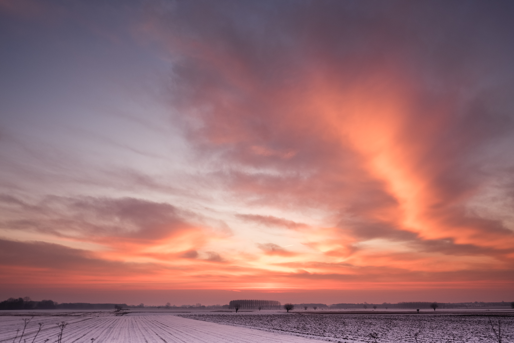 Winter sunrise